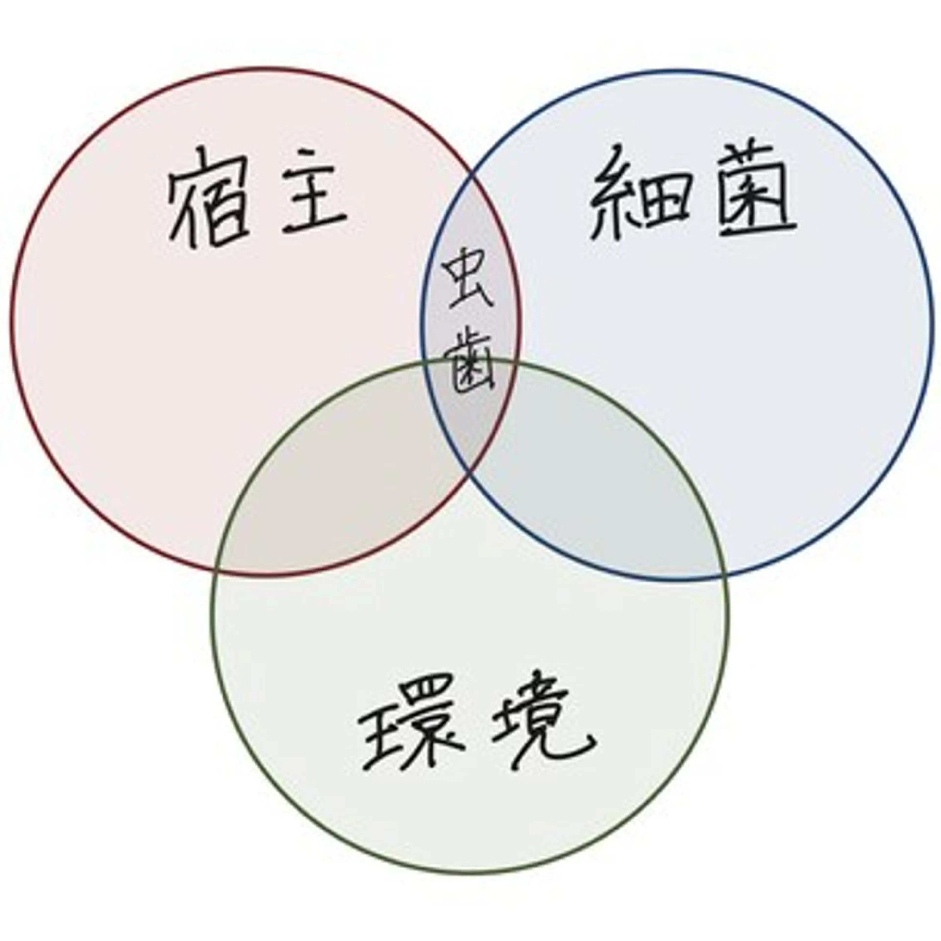 パーマ メンズ その他 ホワイトニングサロン nico西葛西店のその他イメージ