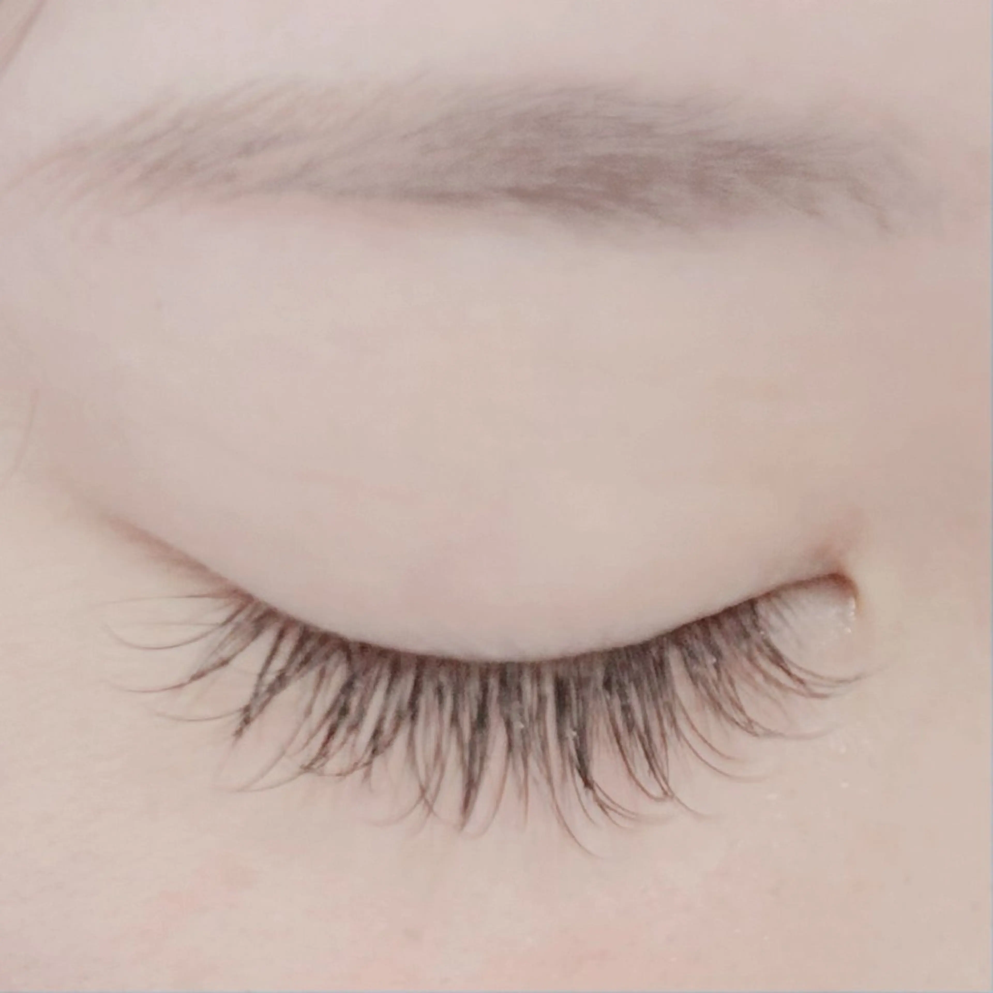 マツエク・マツパ Cカール セーブル Stella Shioriのマツエク・マツパデザイン