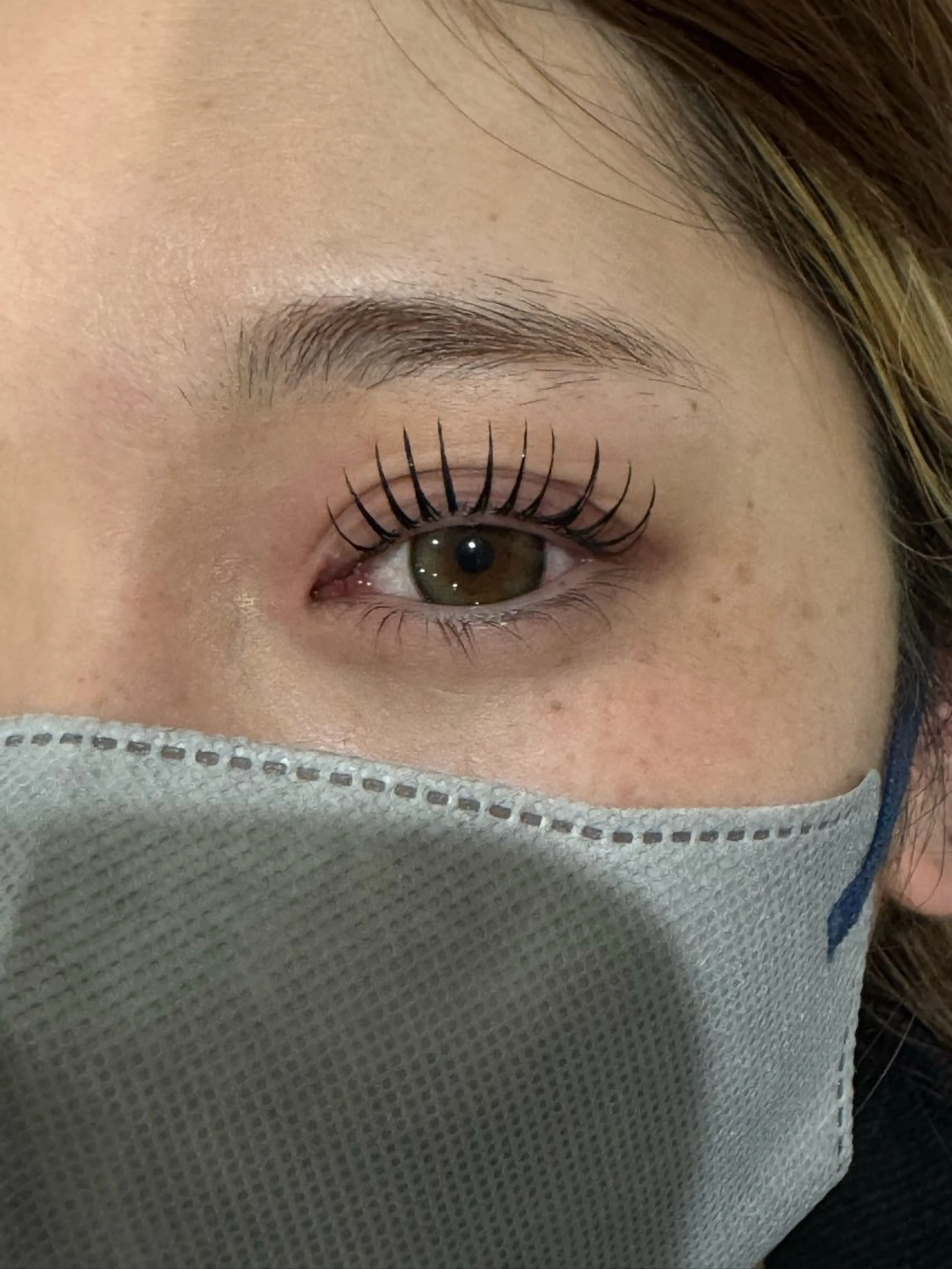 プレッツェルラッシュ40束【オフありの場合、束数追加ご連絡お願いいたします】の写真