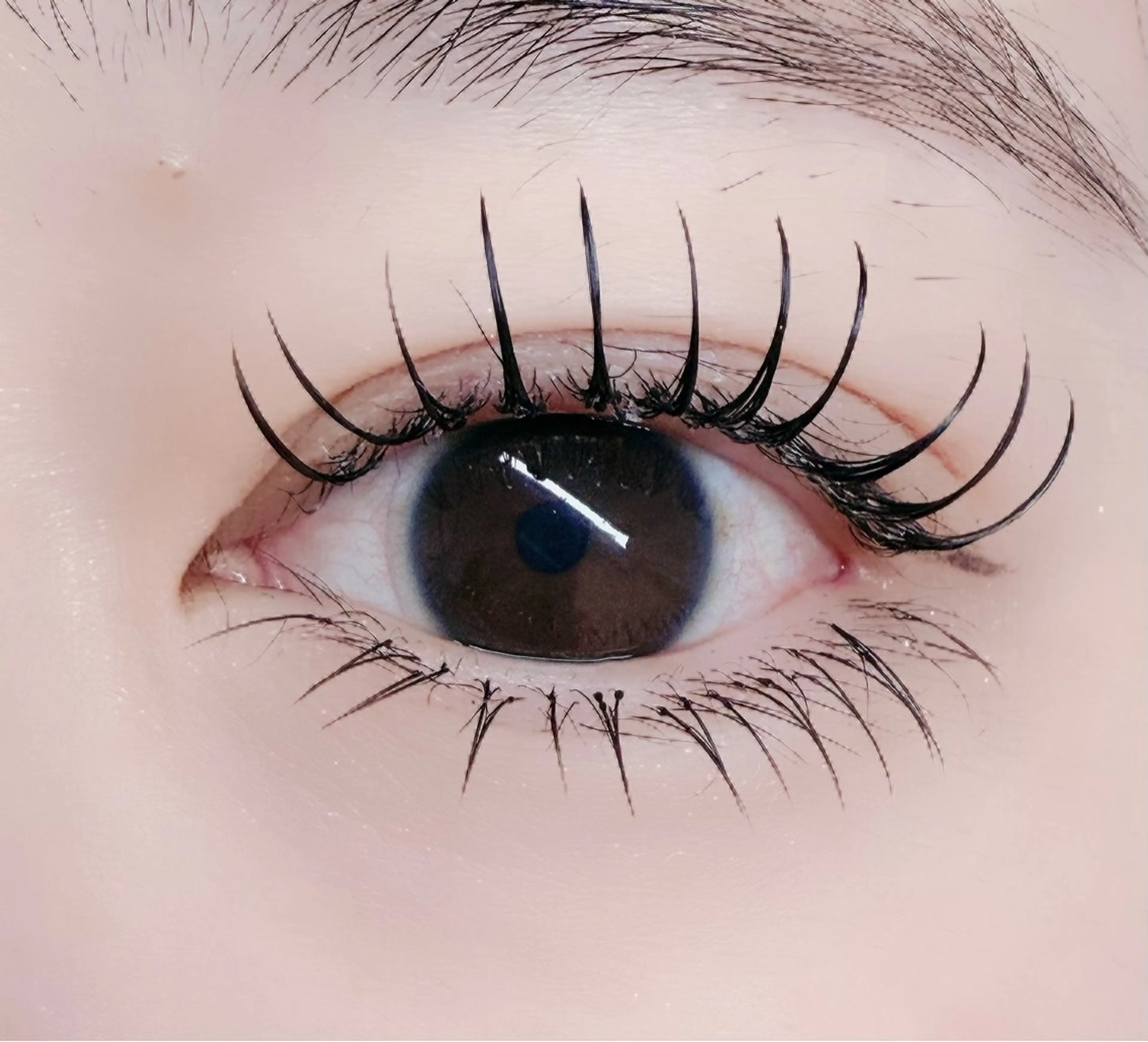 マツエク・マツパ フラットラッシュ マツパ ルチア💞 lucia高田馬場のマツエク・マツパデザイン