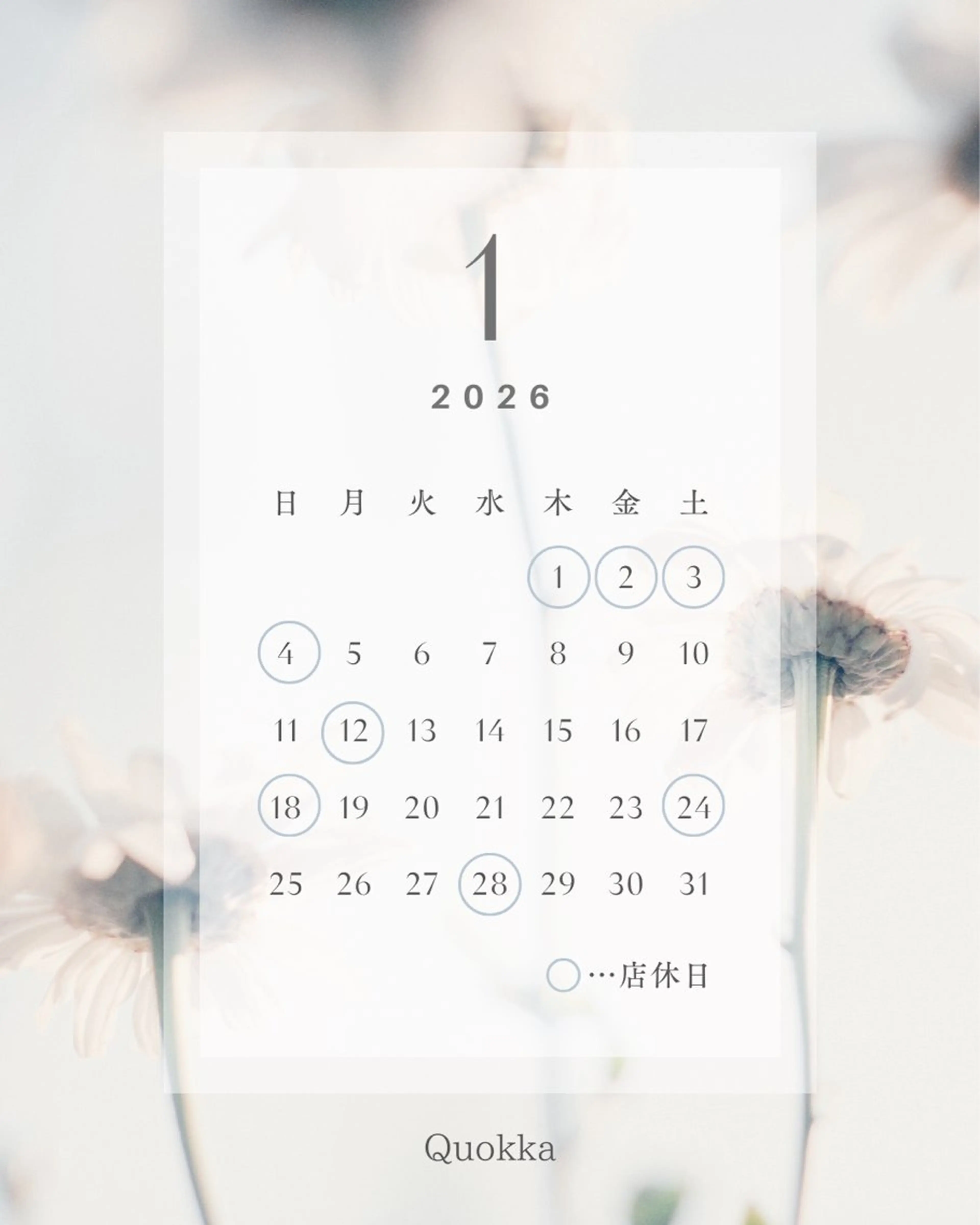 Quokka ✴︎ あま市甚目寺のエステ・リラクイメージ