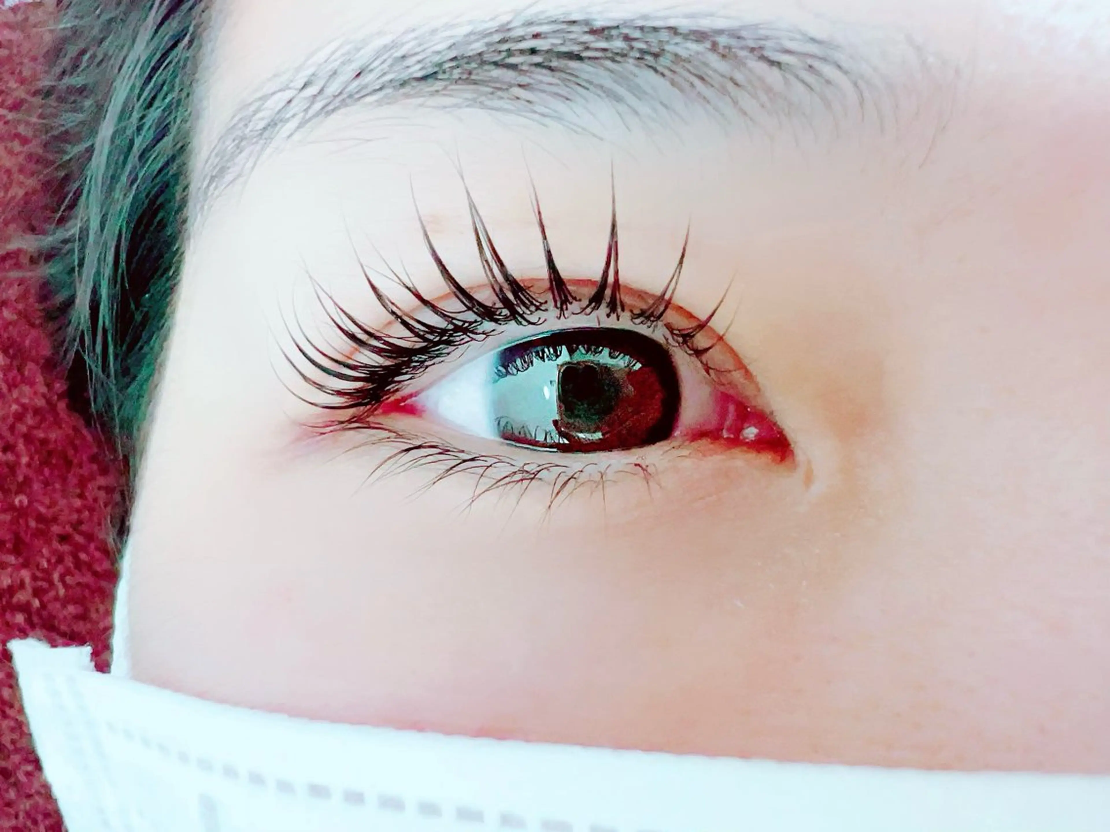 練習の為2名モニター価格の写真