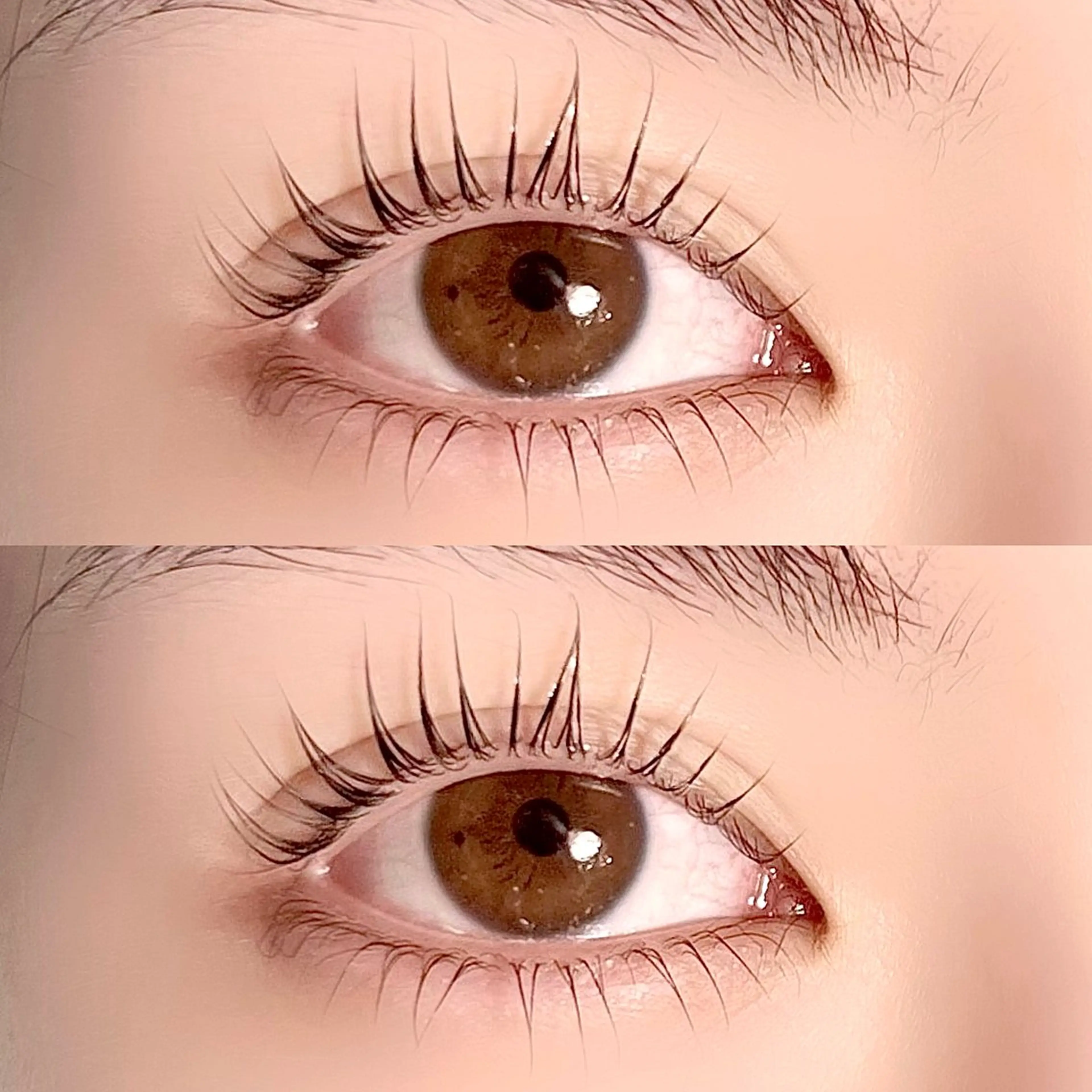 🎀上下パリジェンヌ🎀➳の写真