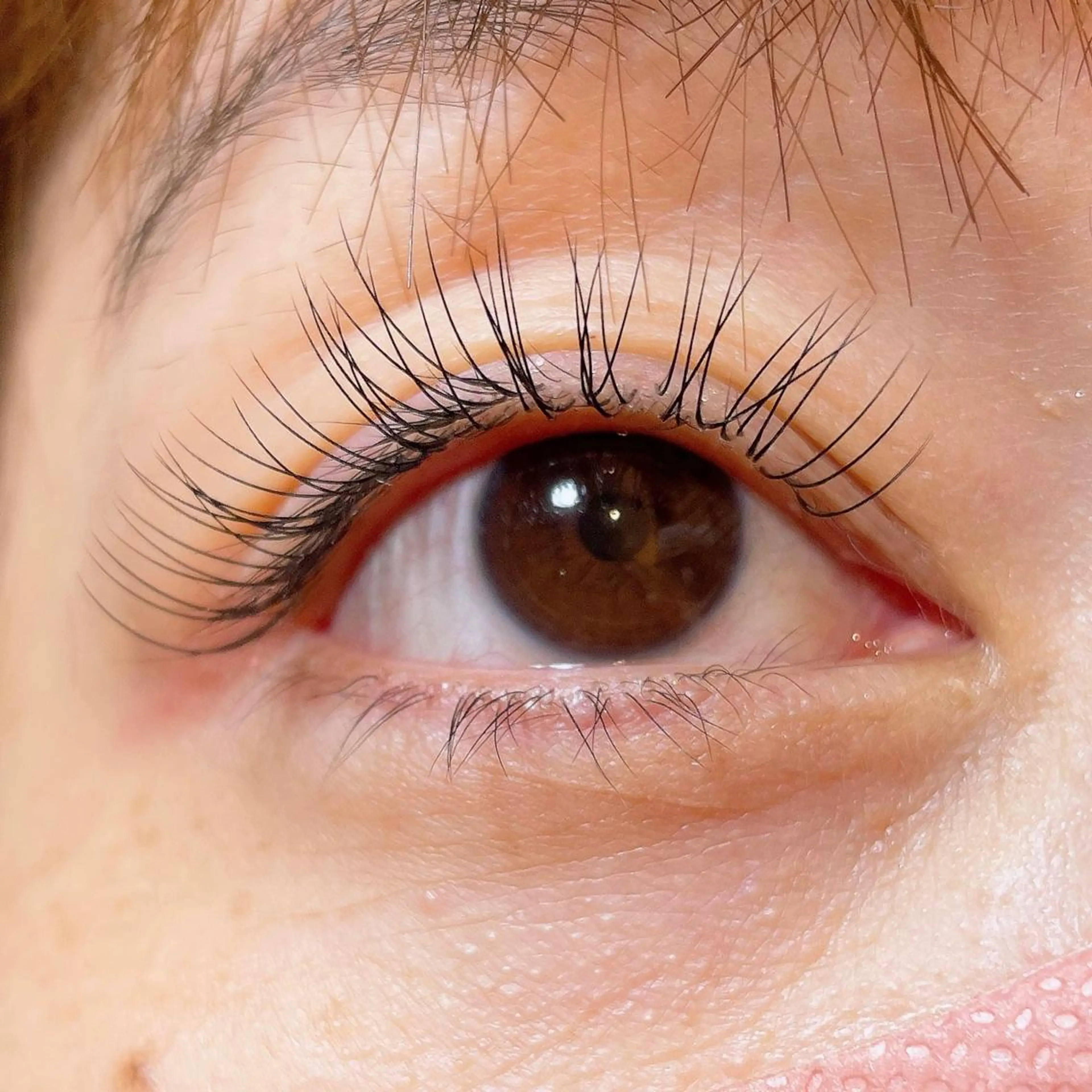 マツエク・マツパ ナチュラル 玉木 愛の眉毛・アイブロウイメージ