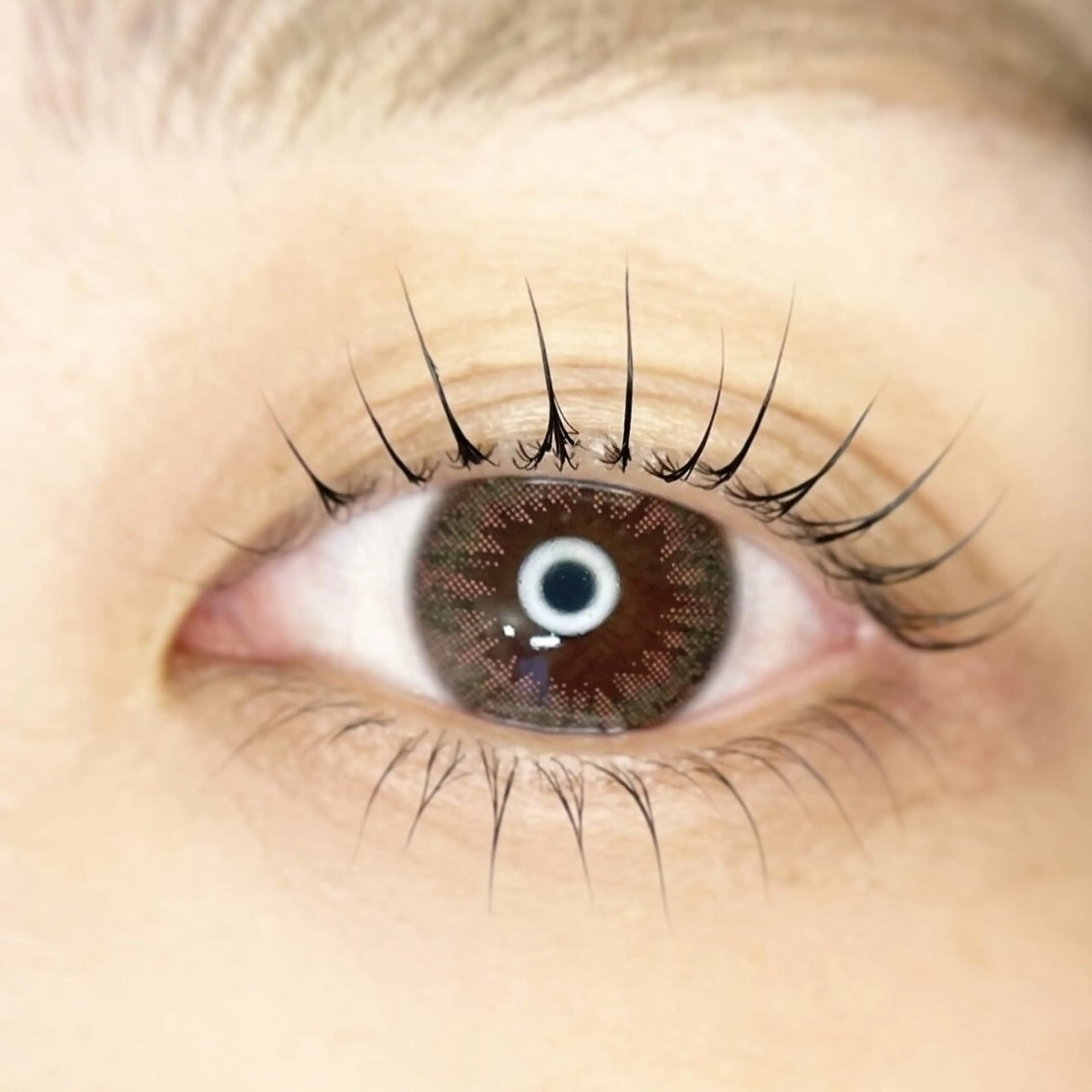 マツエク・マツパ 下まつげエクステ 一重×まつ毛パーマ マツパ LE:AP 銀座のマツエク・マツパデザイン