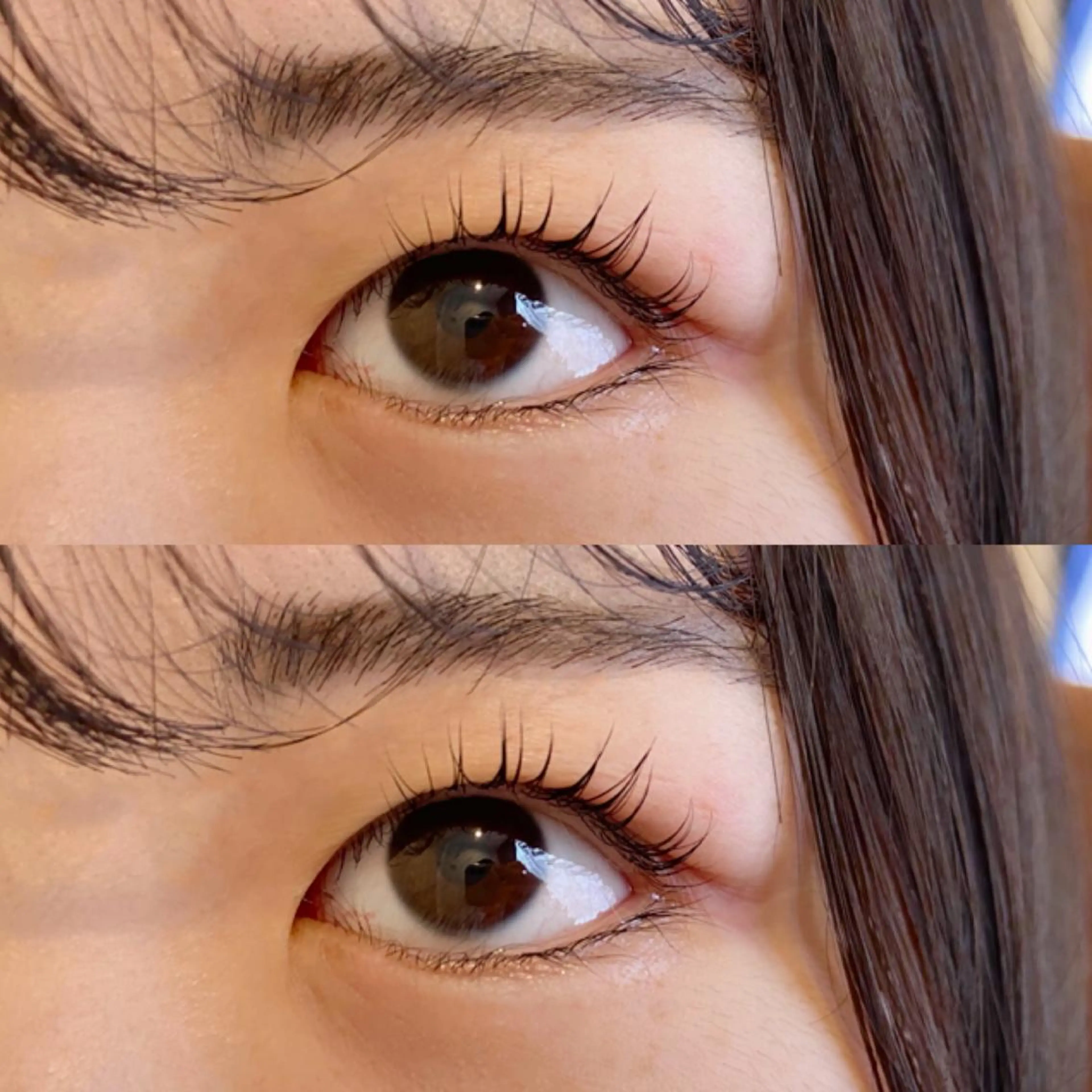 マツエク・マツパ covo eyelash所属・covo 🐻の眉毛・アイブロウイメージ