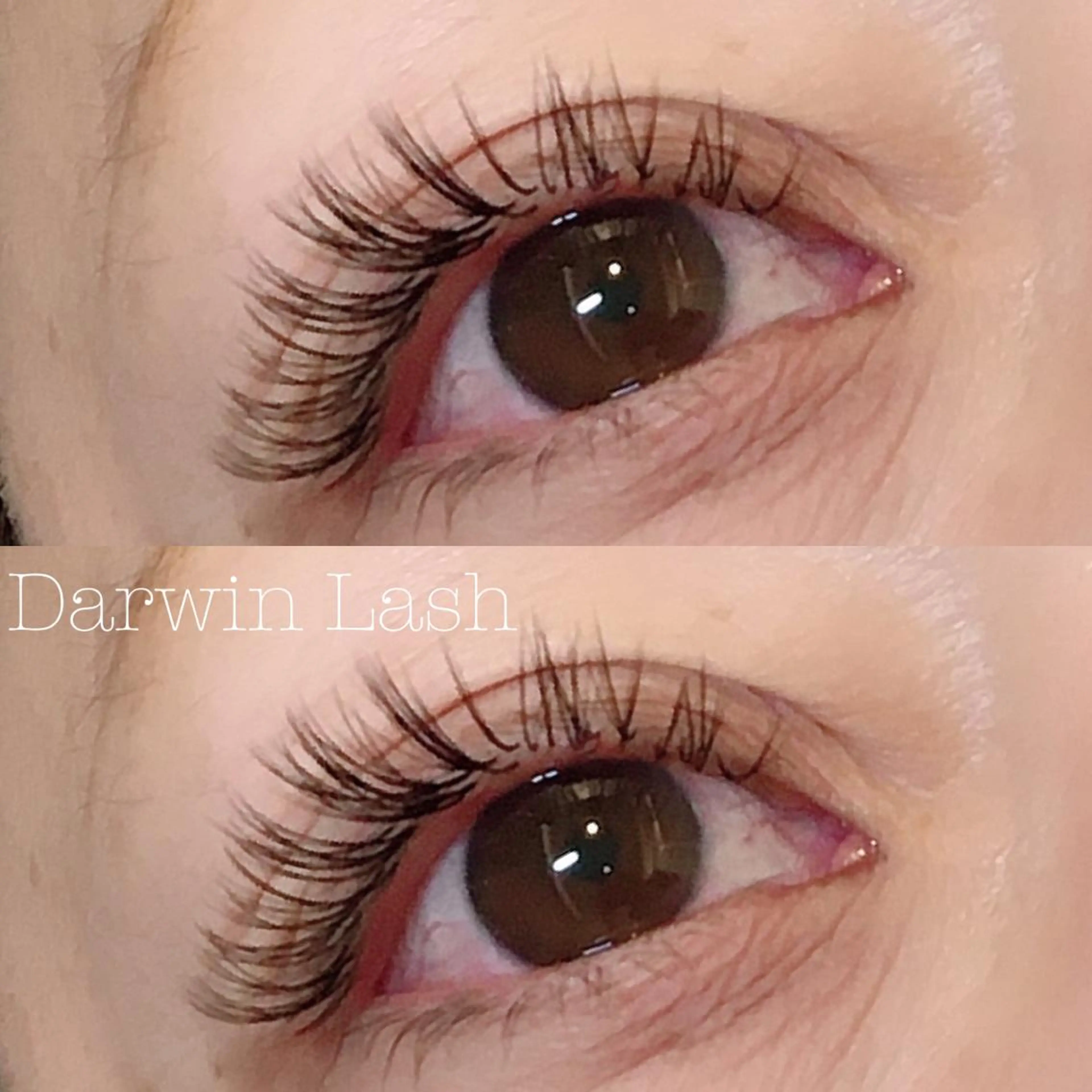 マツエク・マツパ バインドロック まつげと眉毛のお店Sakura Lash【サクララッシュ】所属・【ダメージケア特化】 🌸 サクララッシュの眉毛・アイブロウイメージ