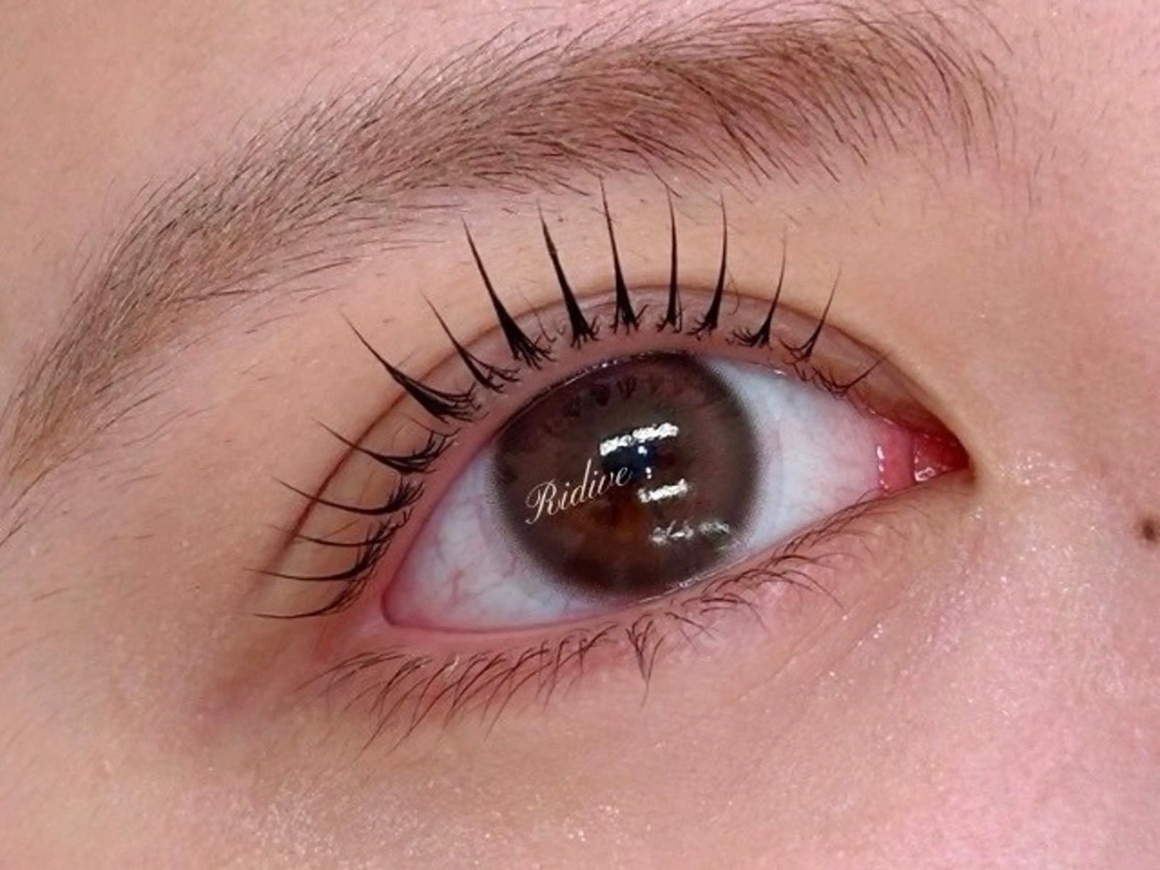 パーマ アイブロウサロンRidive武蔵小杉所属・Ridive Endo🍙の眉毛・アイブロウイメージ