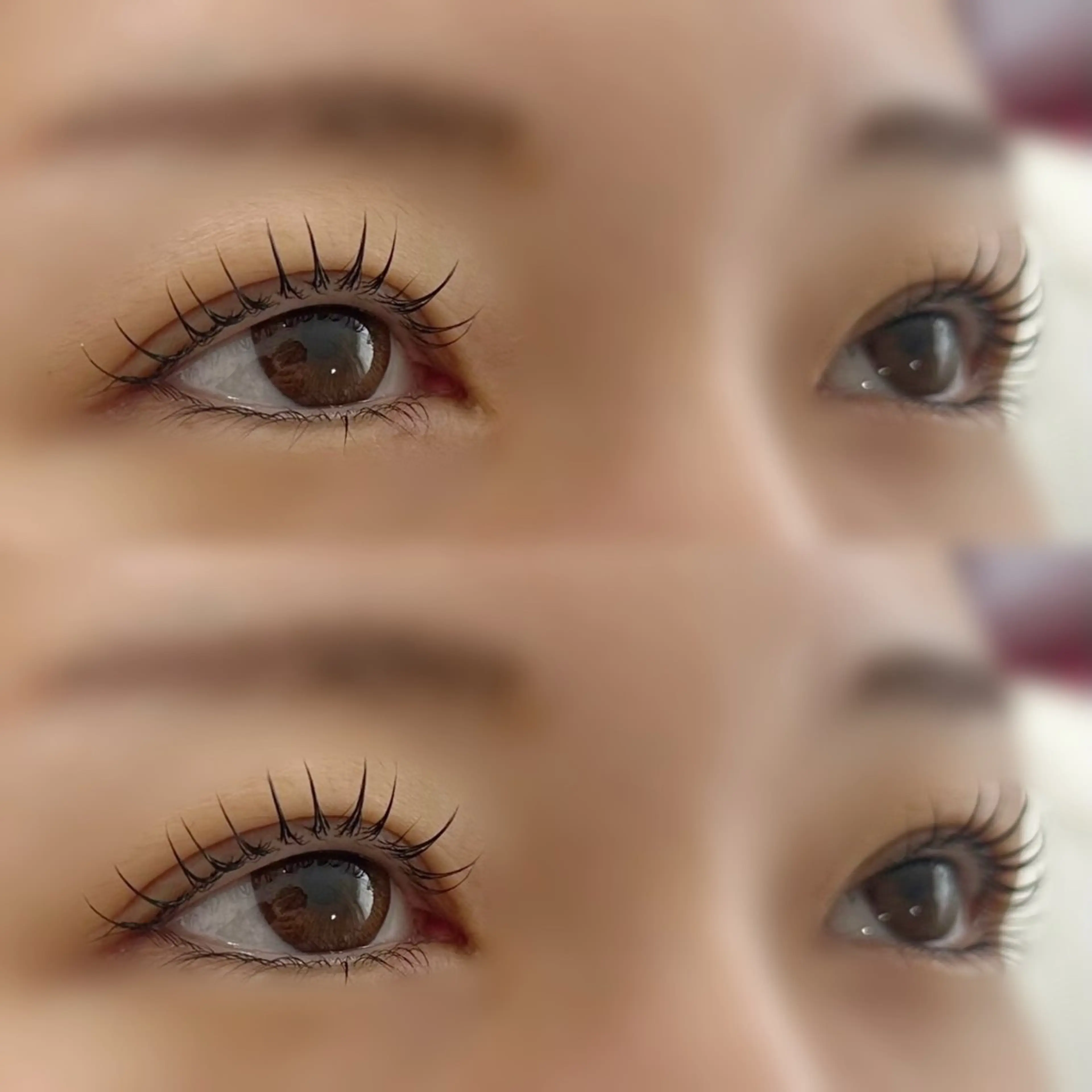 マツエク・マツパ hair studio Peace所属・浅野 真惟のマツエク・マツパデザイン