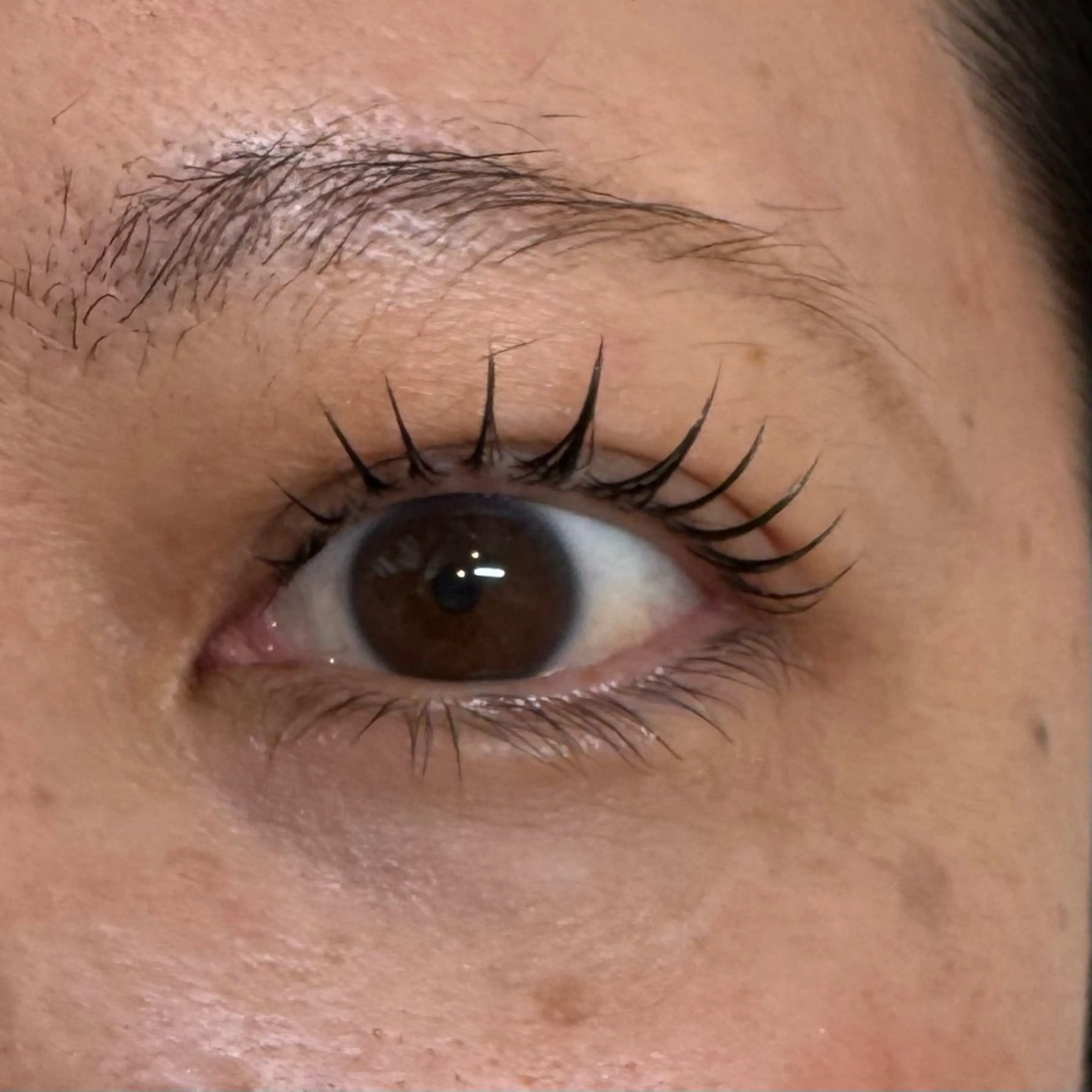 マツエク・マツパ starsky所属・nishida seraのマツエク・マツパデザイン