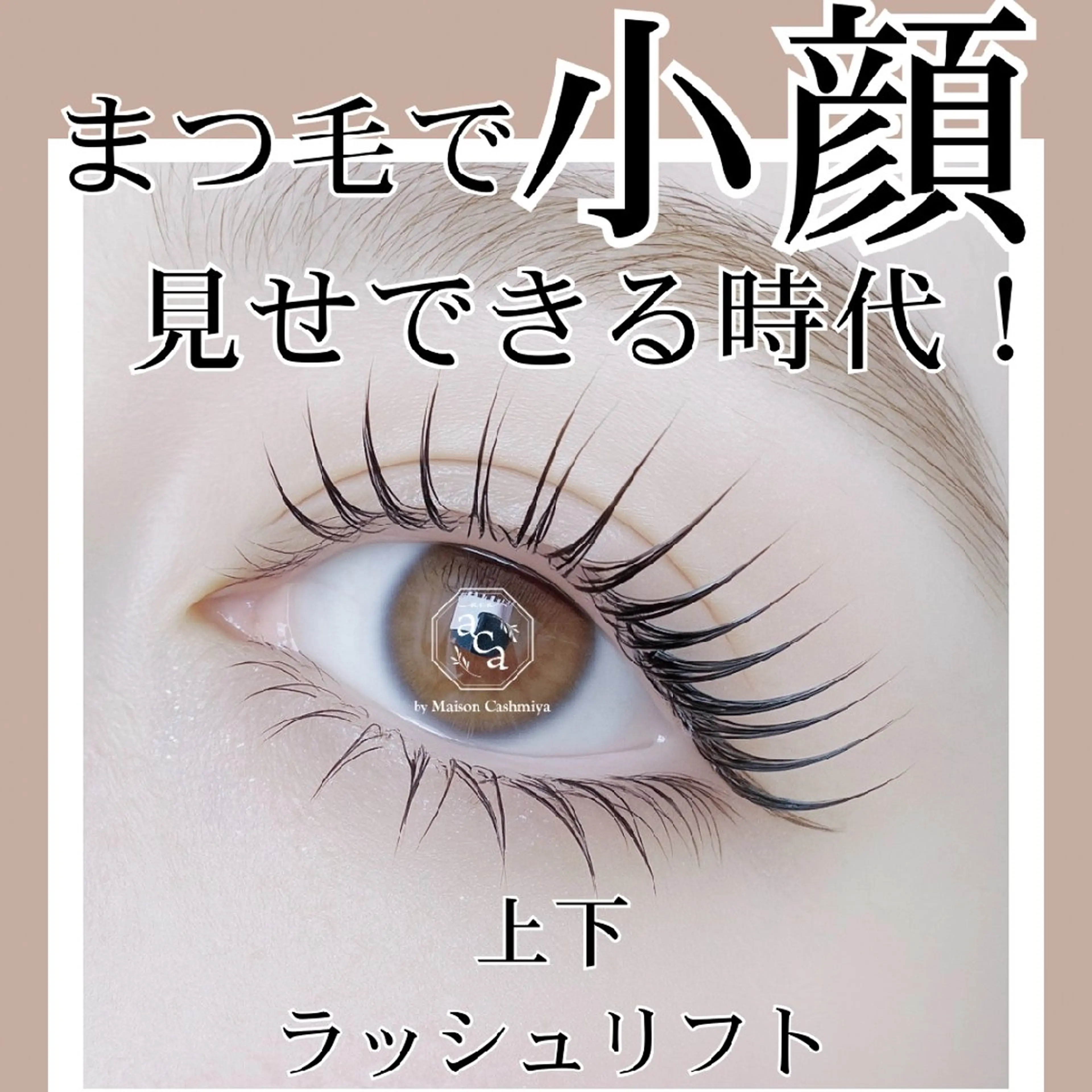 【全員】上下ラッシュリフト【中顔面短縮・逆まつげ緩和したい方】の写真