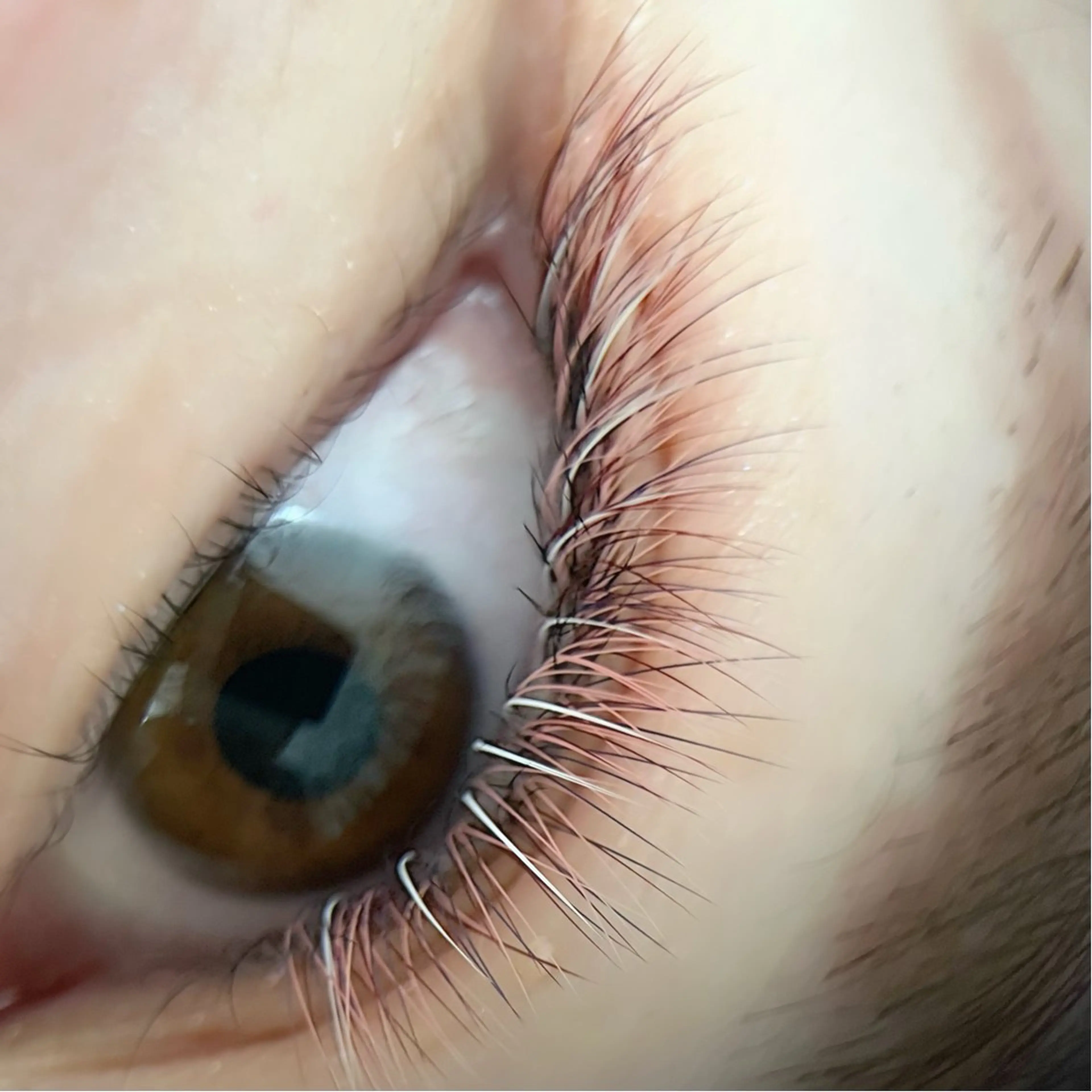 マツエク・マツパ フラットラッシュ ボリュームラッシュ EYELA小針店 さかいのマツエク・マツパデザイン