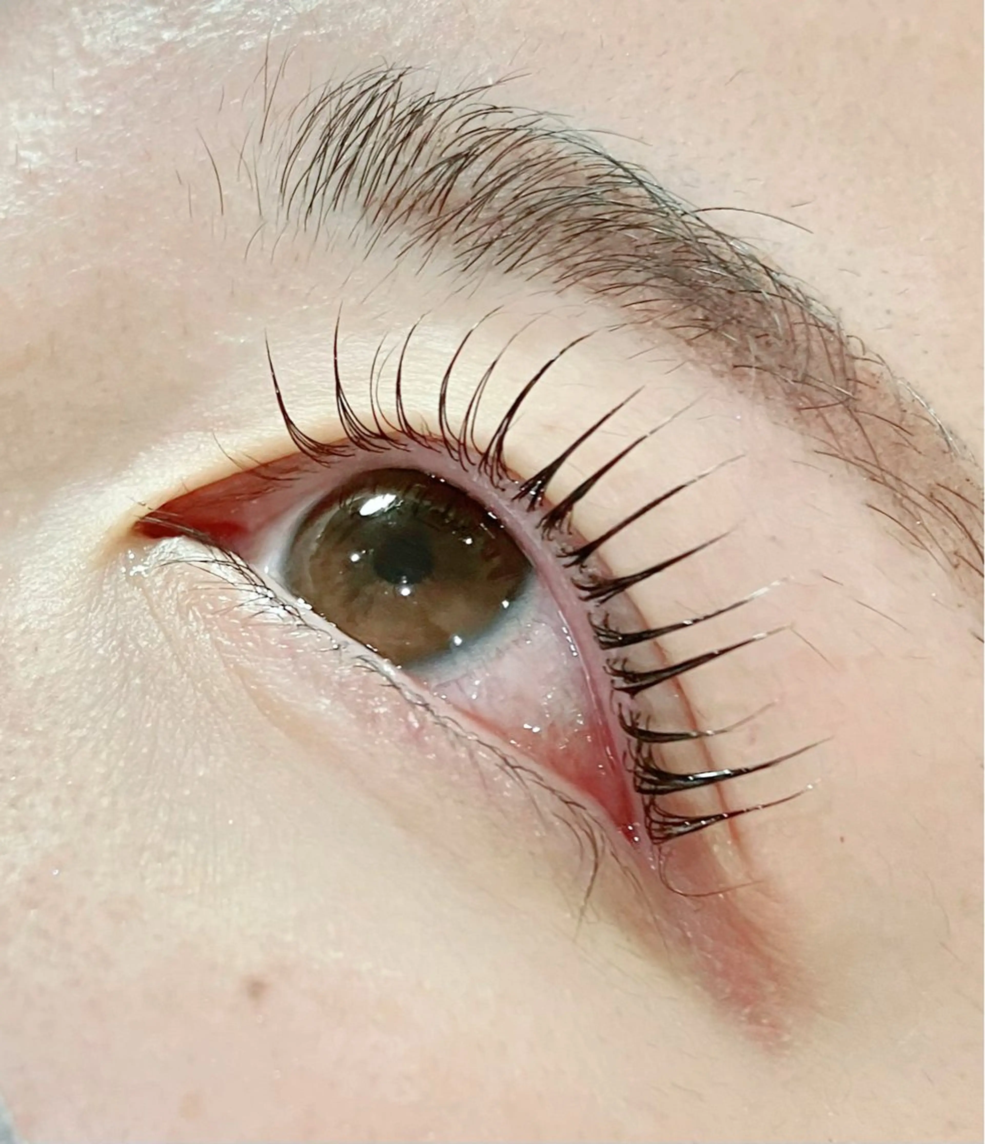 マツエク・マツパ マツパ Lotus YUIのマツエク・マツパデザイン