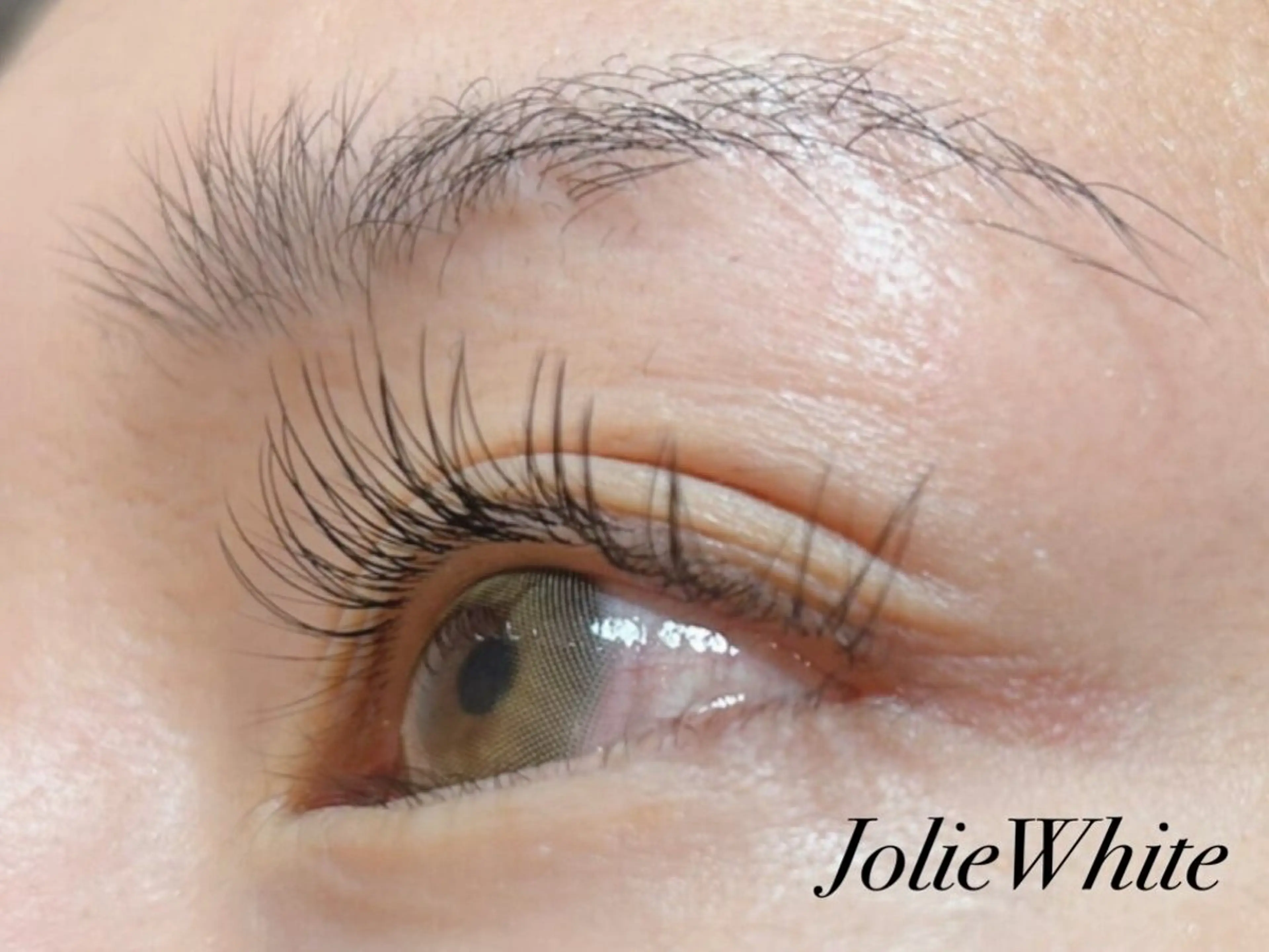 マツエク・マツパ JolieWithe 綾瀬店のマツエク・マツパデザイン