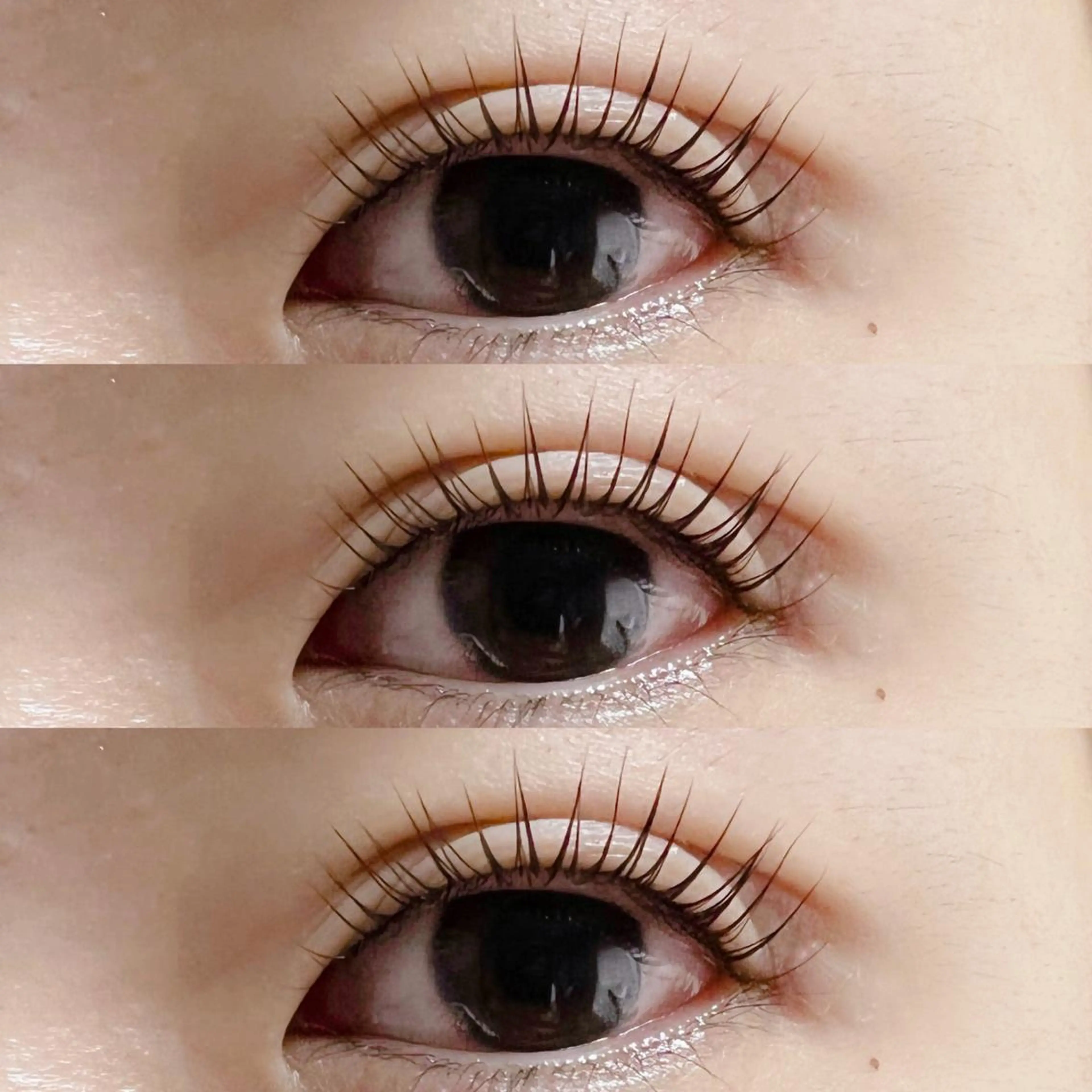 マツエク・マツパ パリジェンヌラッシュリフト eyelash omemeのマツエク・マツパデザイン