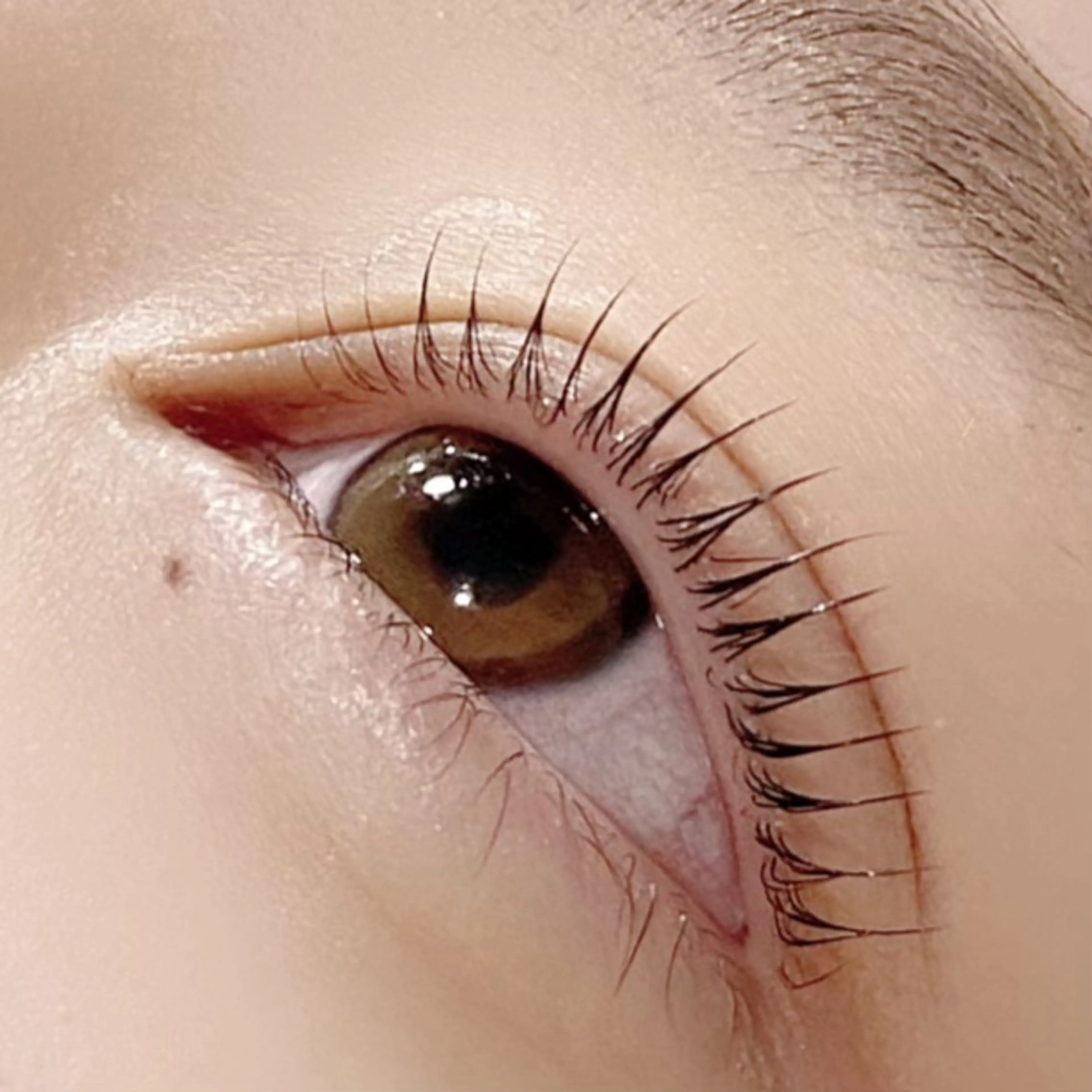 マツエク・マツパ パリジェンヌラッシュリフト マリーテレジア♡⛓ NAGANAWAのマツエク・マツパデザイン