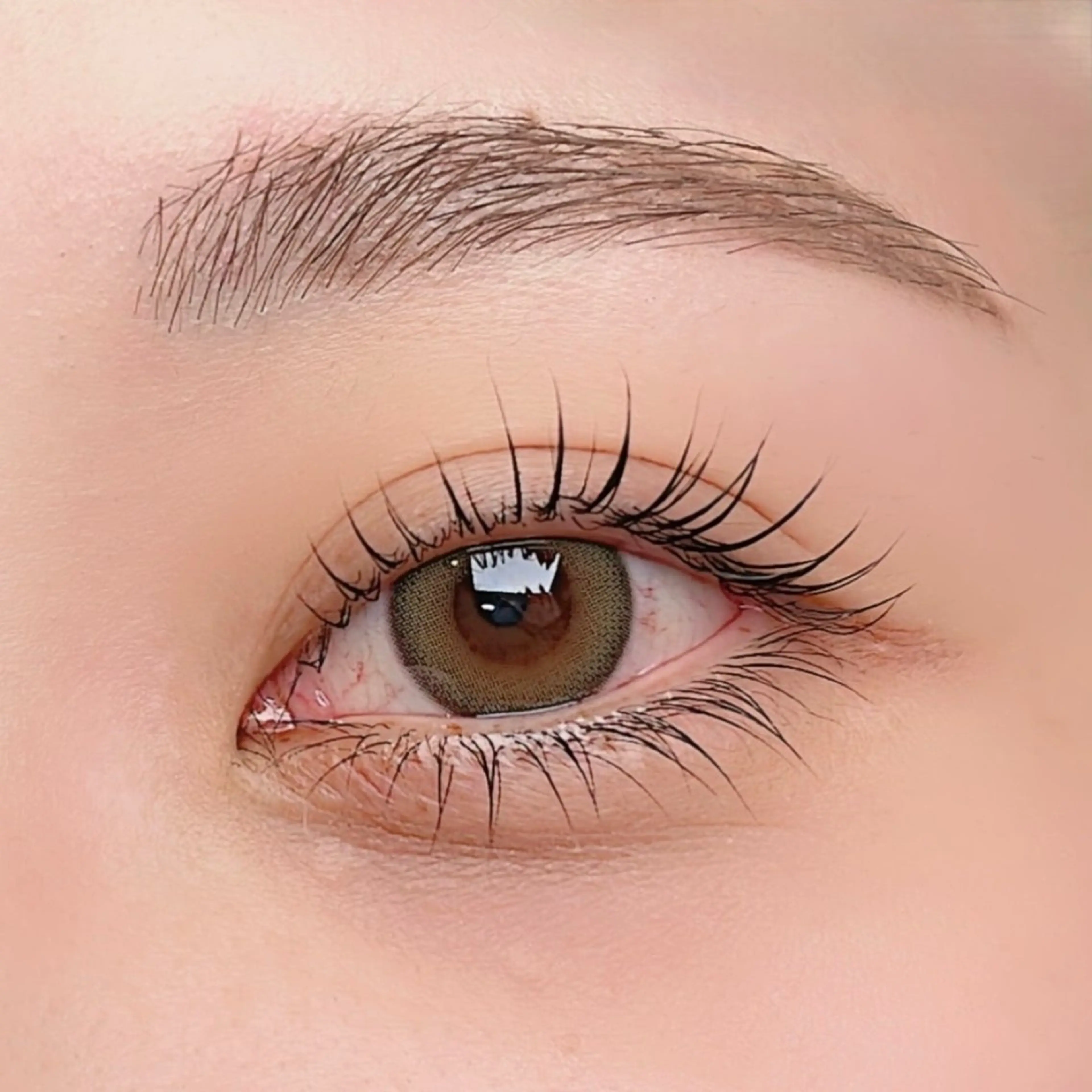 🫧目元ぱっちり🫧選べるまつ毛パーマ or パリジェンヌの写真