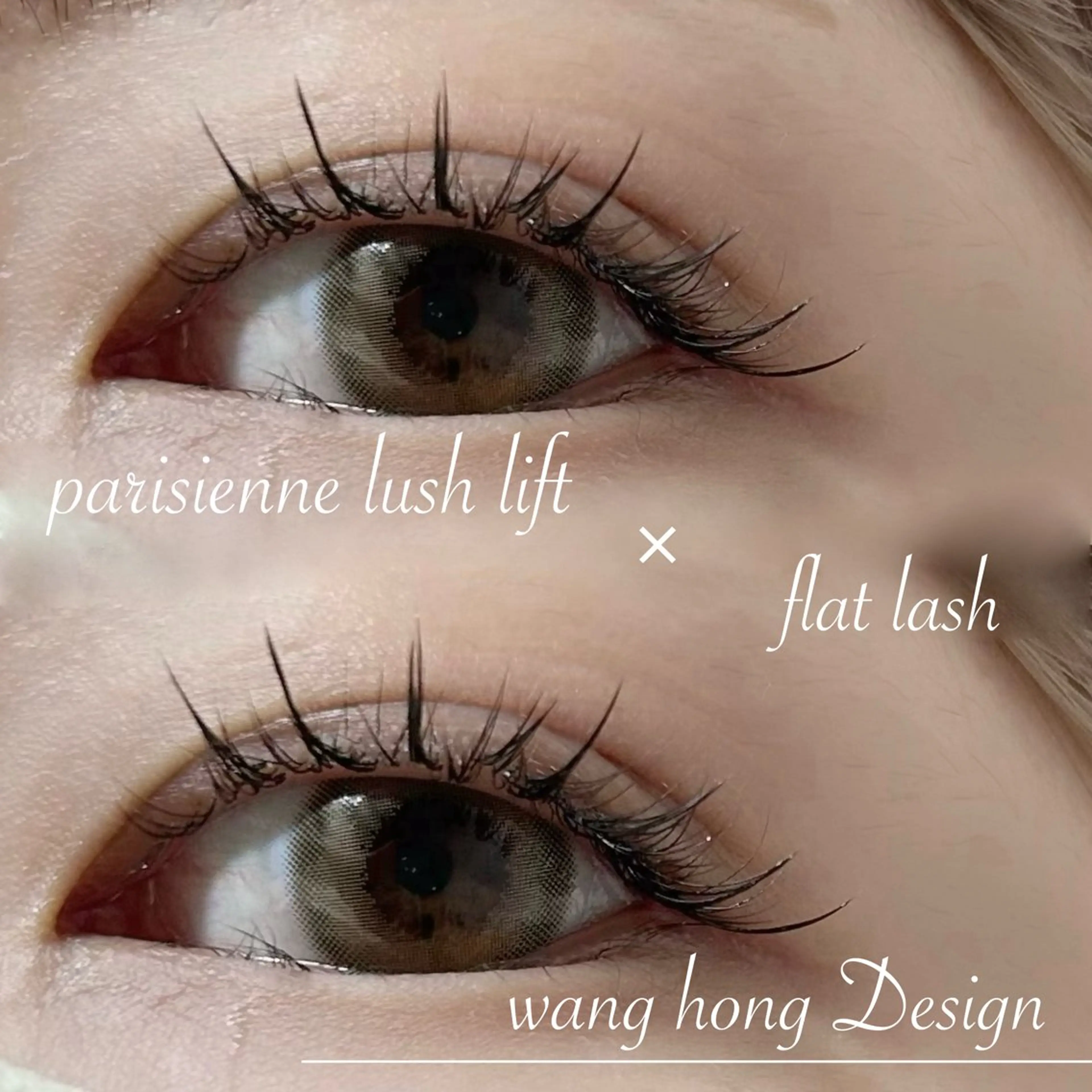 ワンホンエクステ 120束🇨🇳の写真