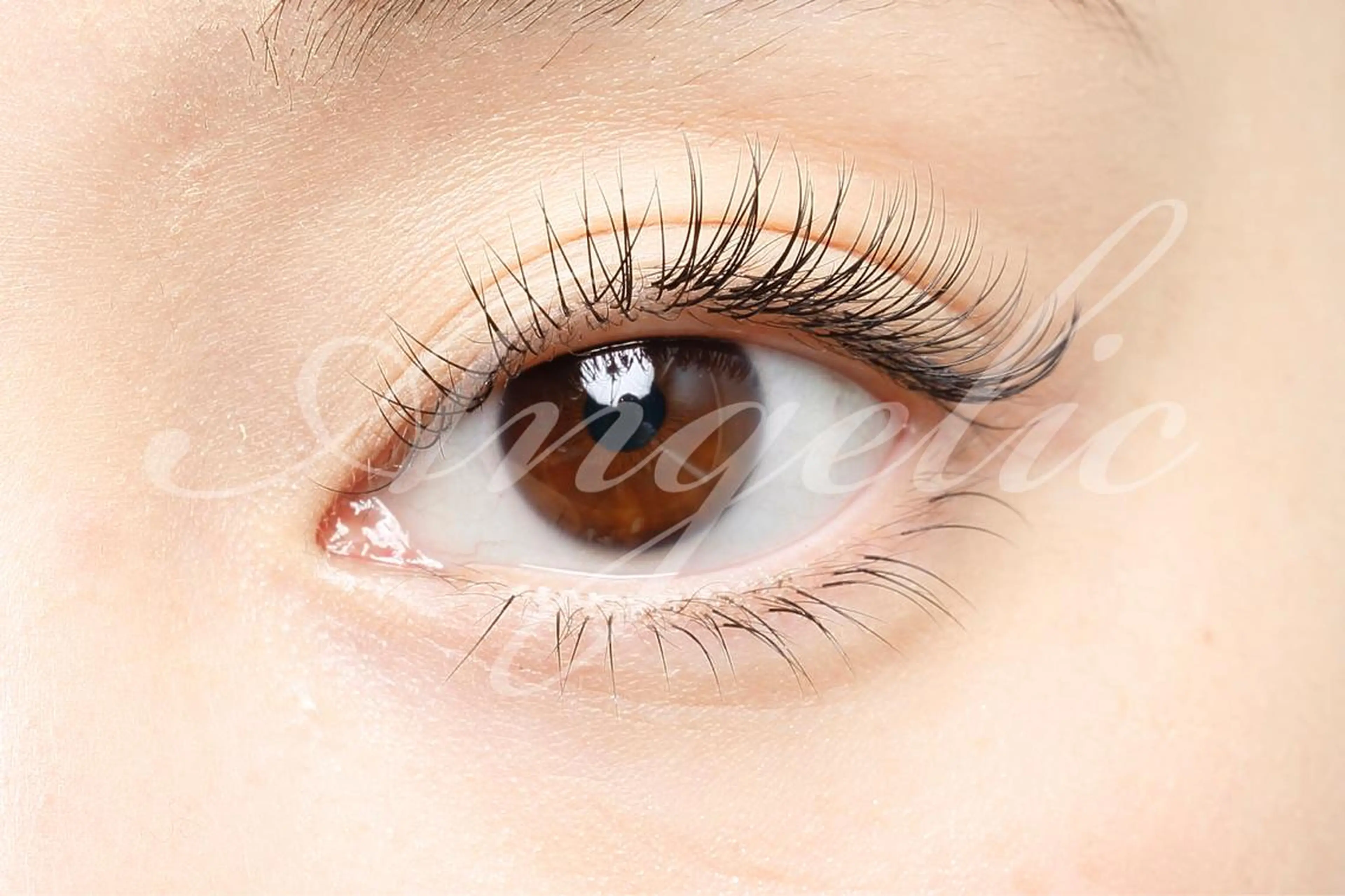 マツエク・マツパ マツエク・マツパ 募集のマツエク・マツパデザイン