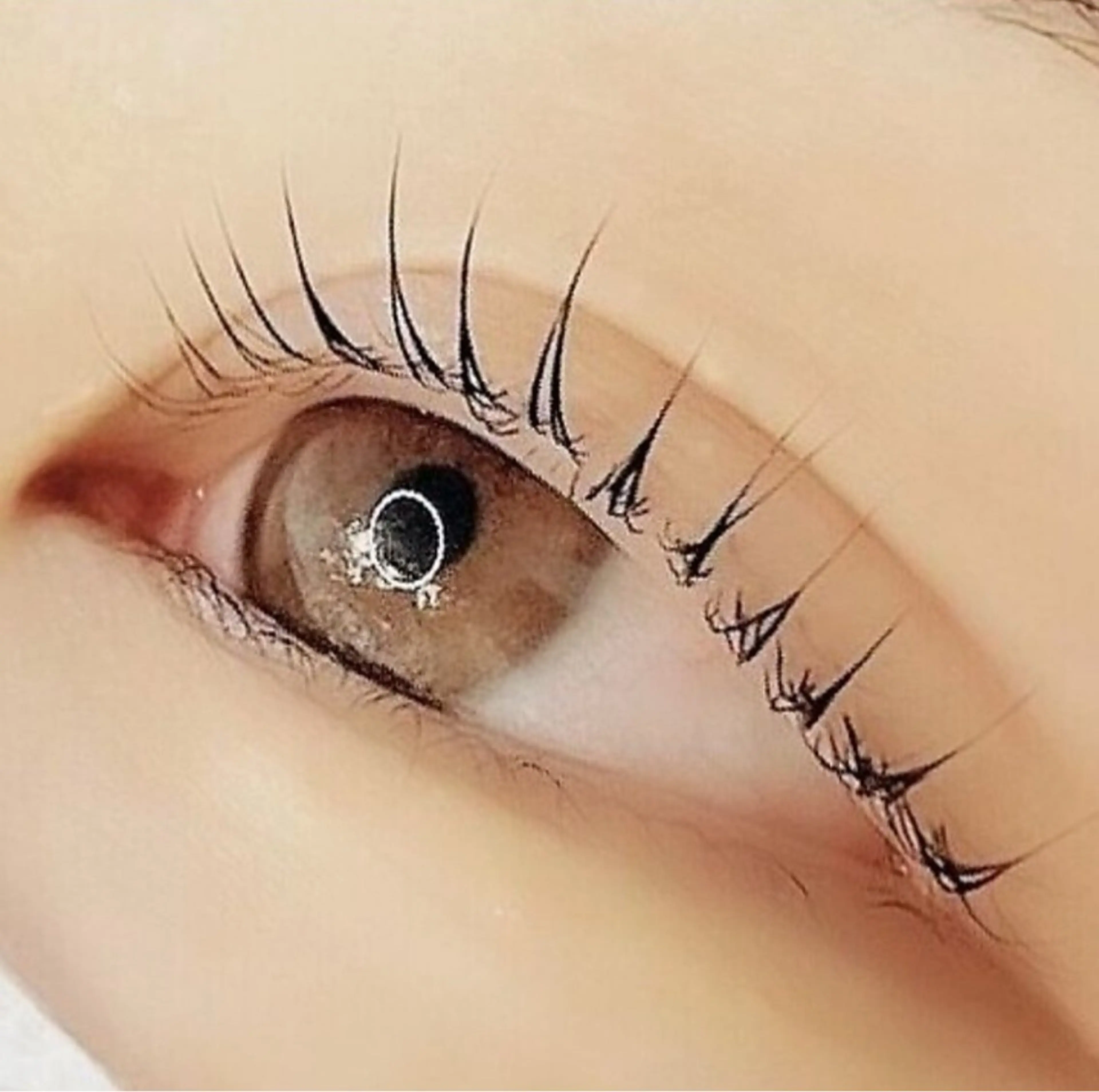 【ご新規様限定】高持続まつげパーマ25%オフの写真