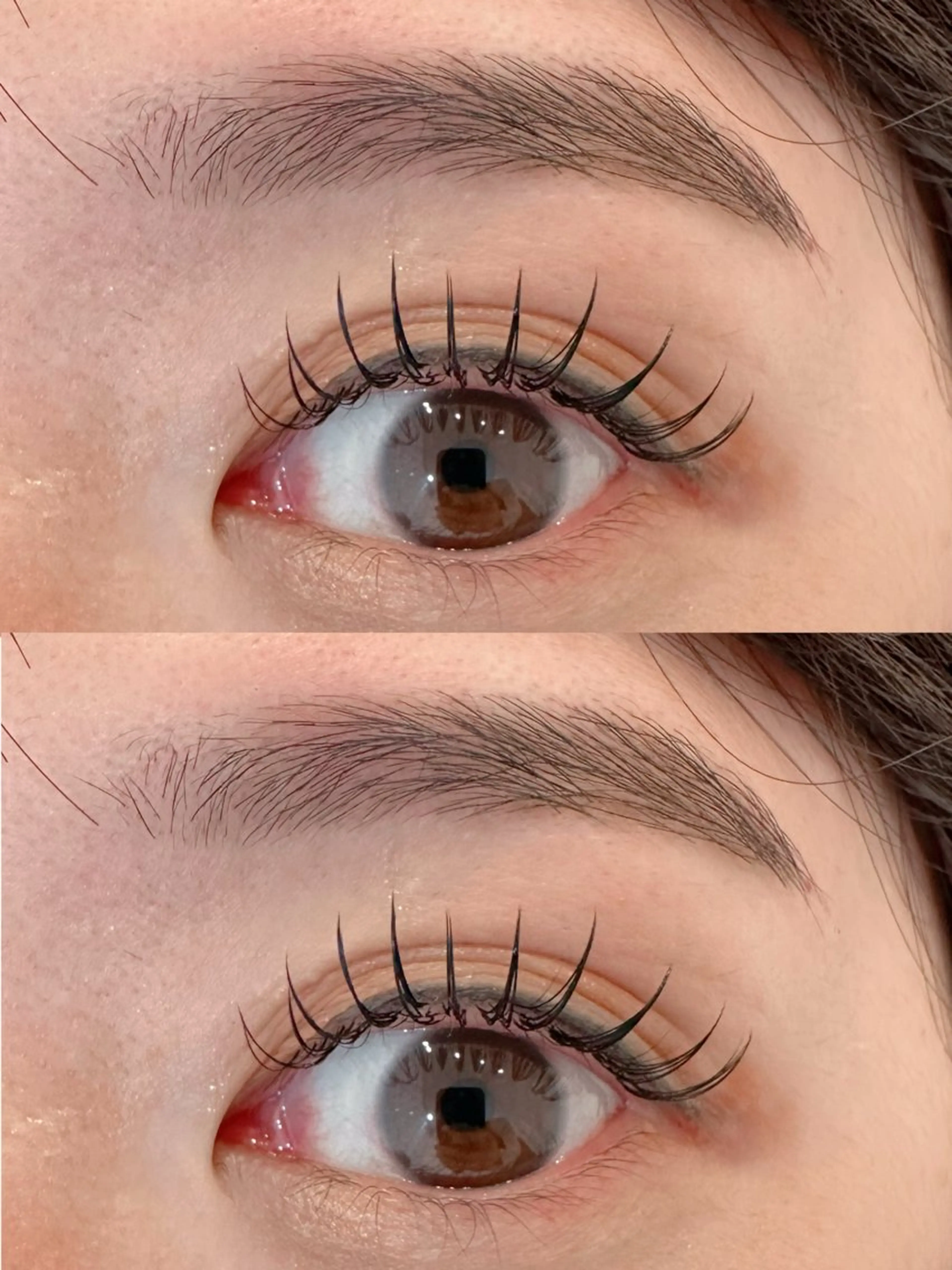 マツエク・マツパ フラットラッシュ ワックス脱毛 その他(アイブロウ) Rimiなかもず店 RION🌼の眉毛・アイブロウイメージ