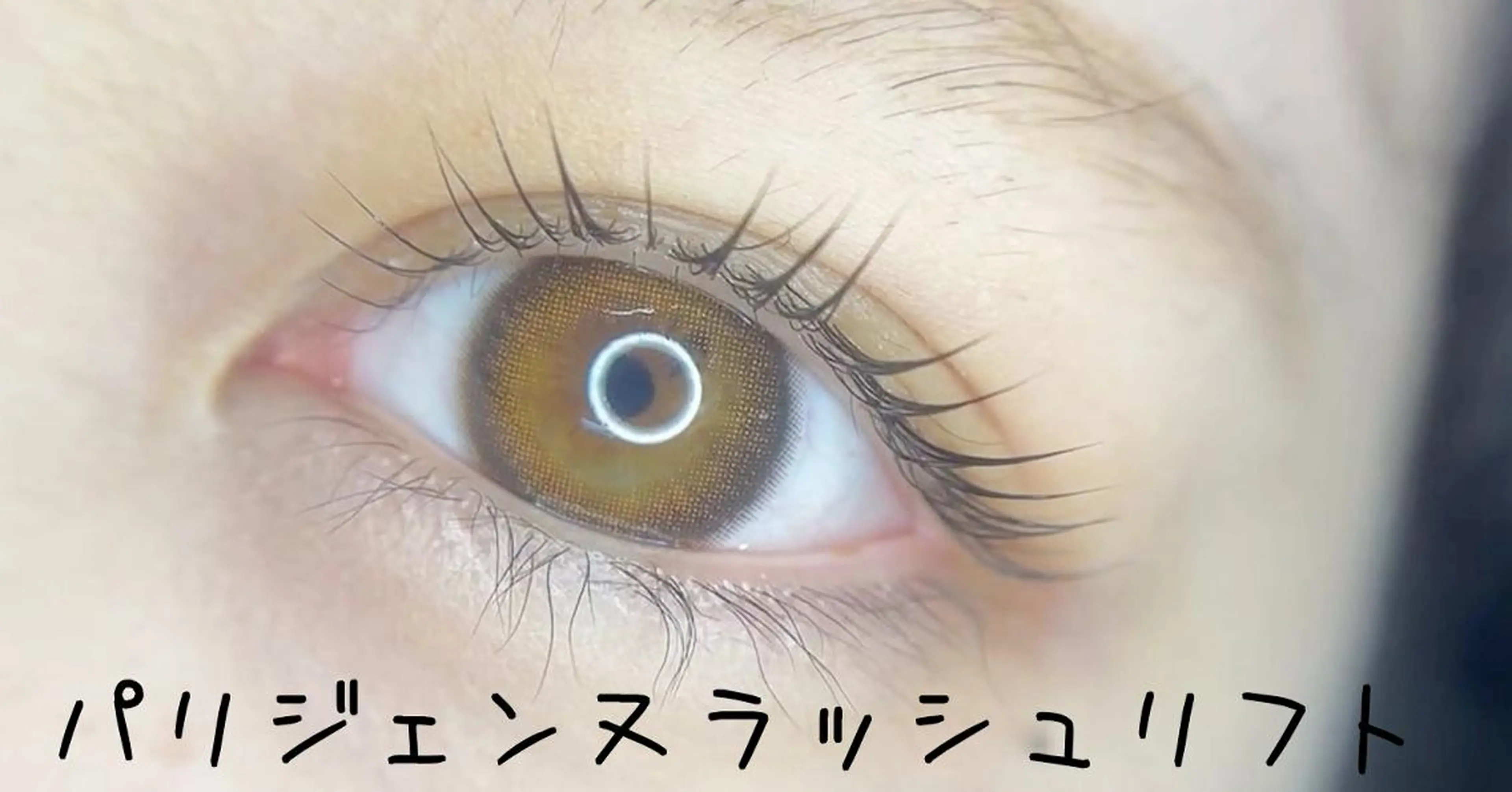 マツエク・マツパ フラットラッシュ 韓国風マツエク パリジェンヌラッシュリフト まつげパーマ ボリュームラッシュ マツパ ディーツ セタレのマツエク・マツパデザイン