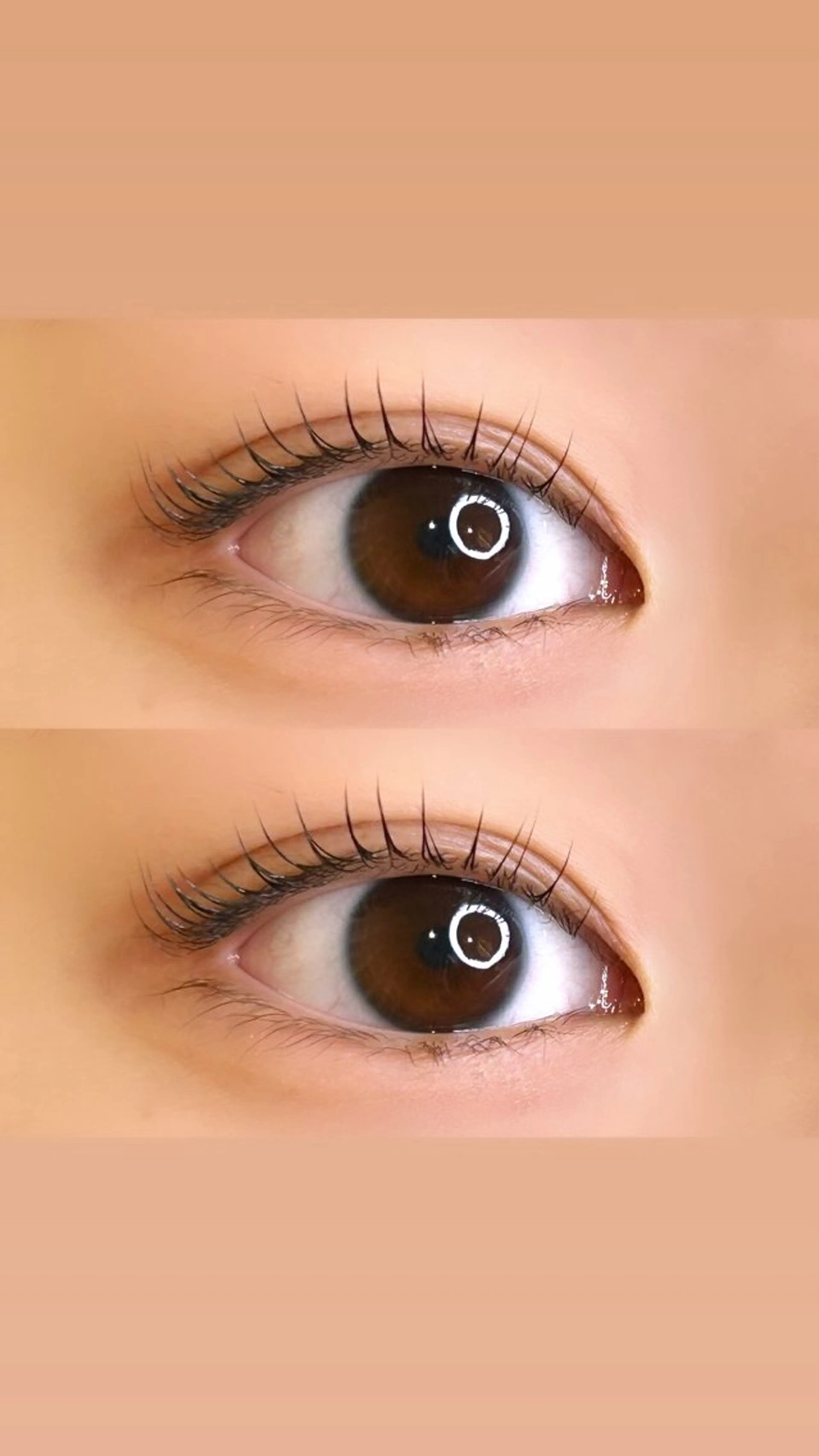 マツエク・マツパ パリジェンヌラッシュリフト まつパ/マツエク/ 渋谷momokaのマツエク・マツパデザイン