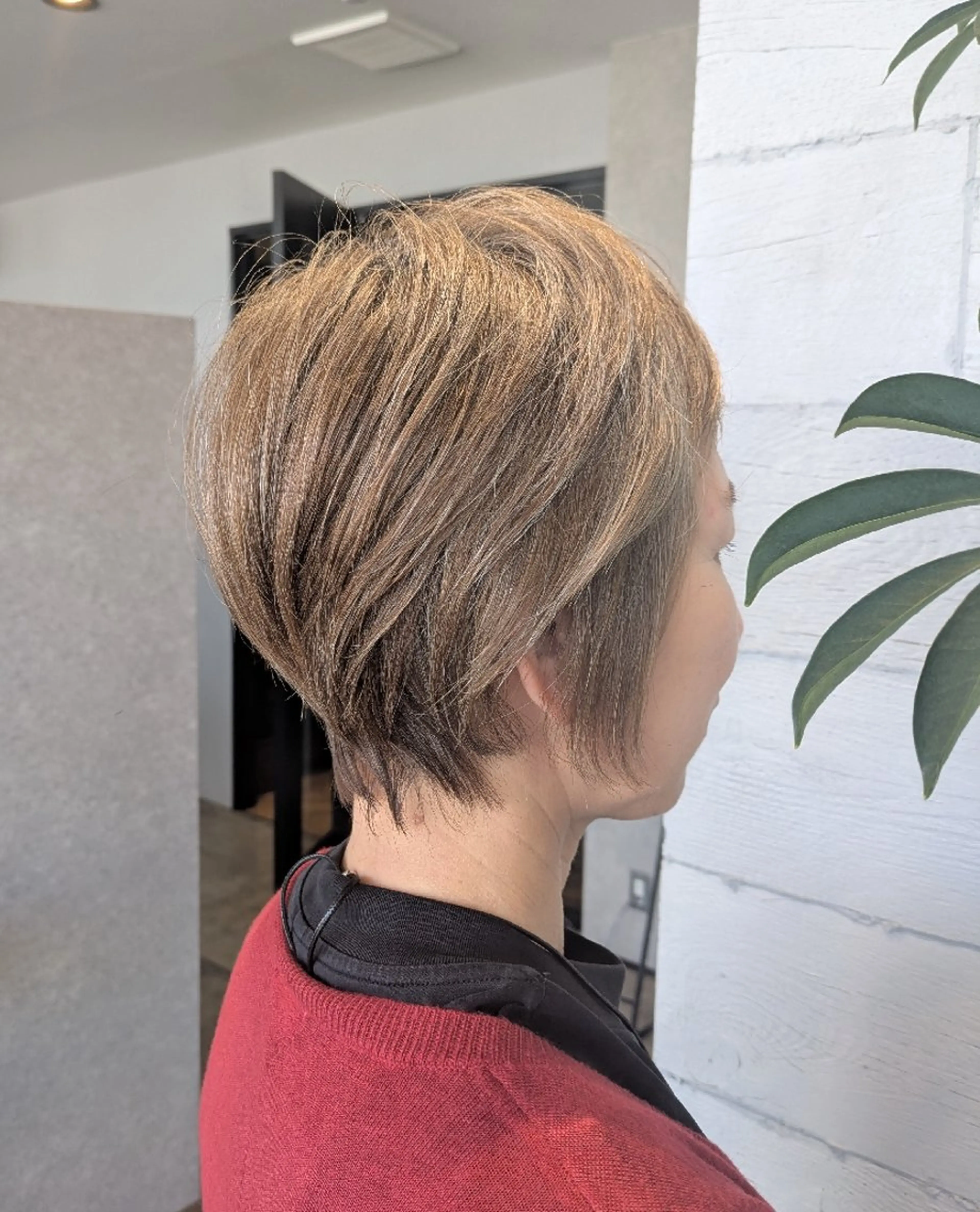 【指名料無料】カット✂️（来店5回目まで）の写真