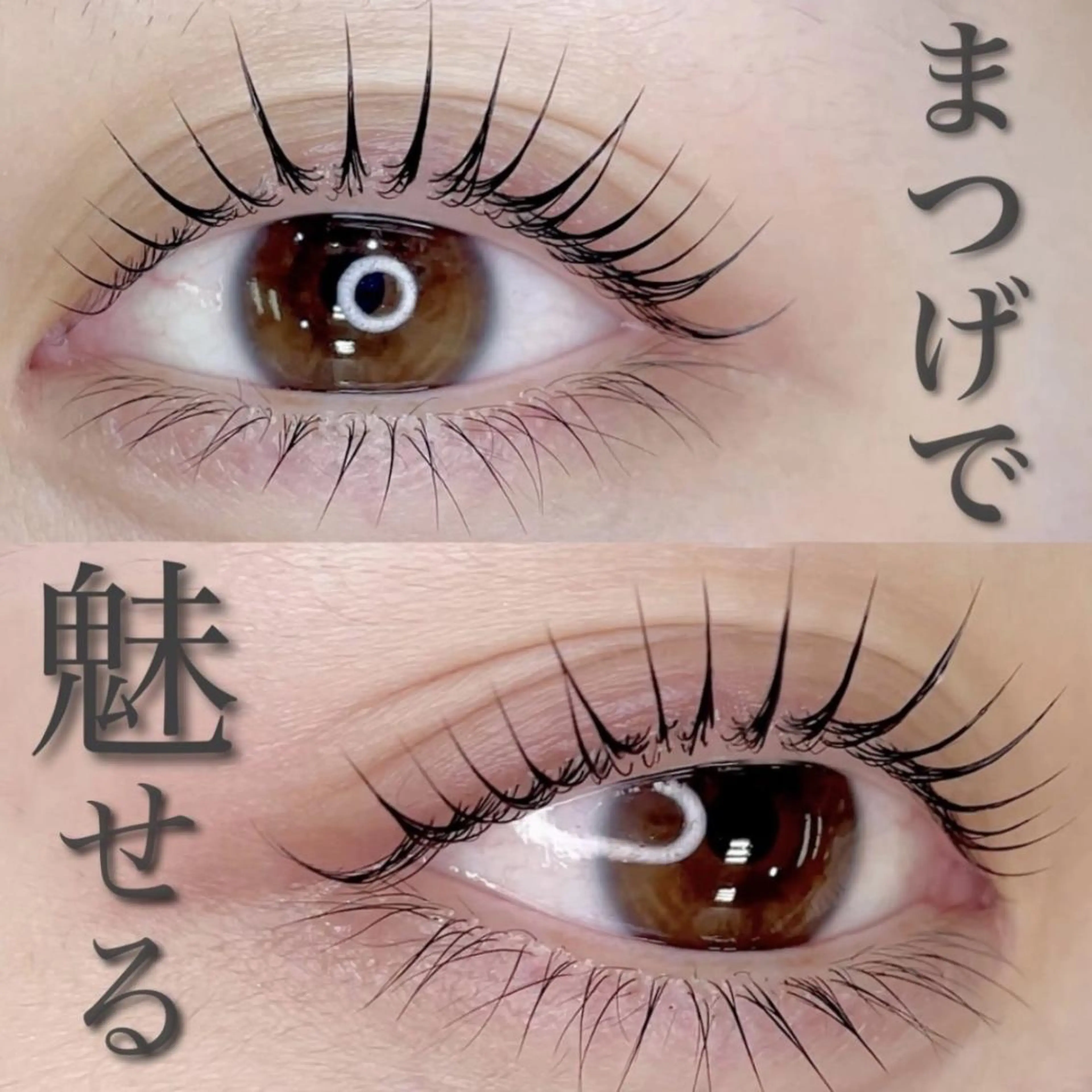 ［1番人気］まつ毛パーマorパリジェンヌ　7700→5500.の写真