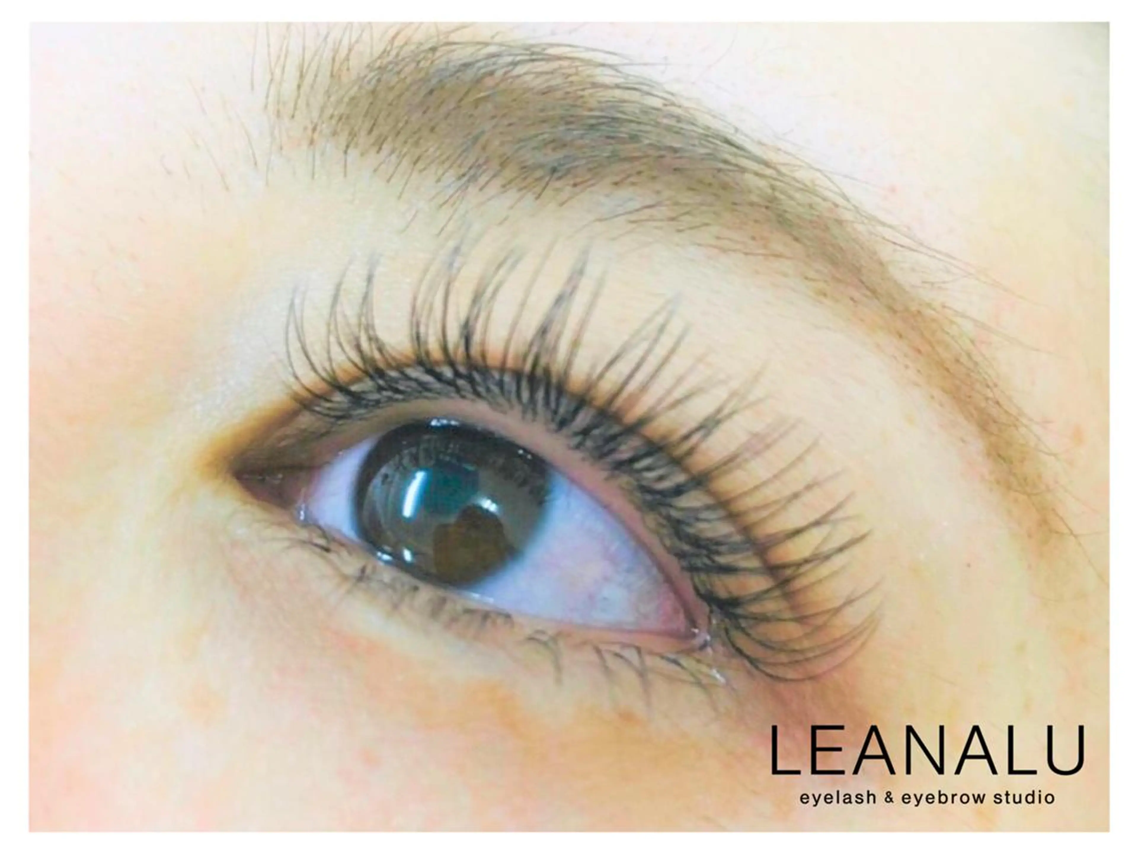 マツエク・マツパ Cカール フラットラッシュ ナチュラル Leanalu 川崎店のマツエク・マツパデザイン