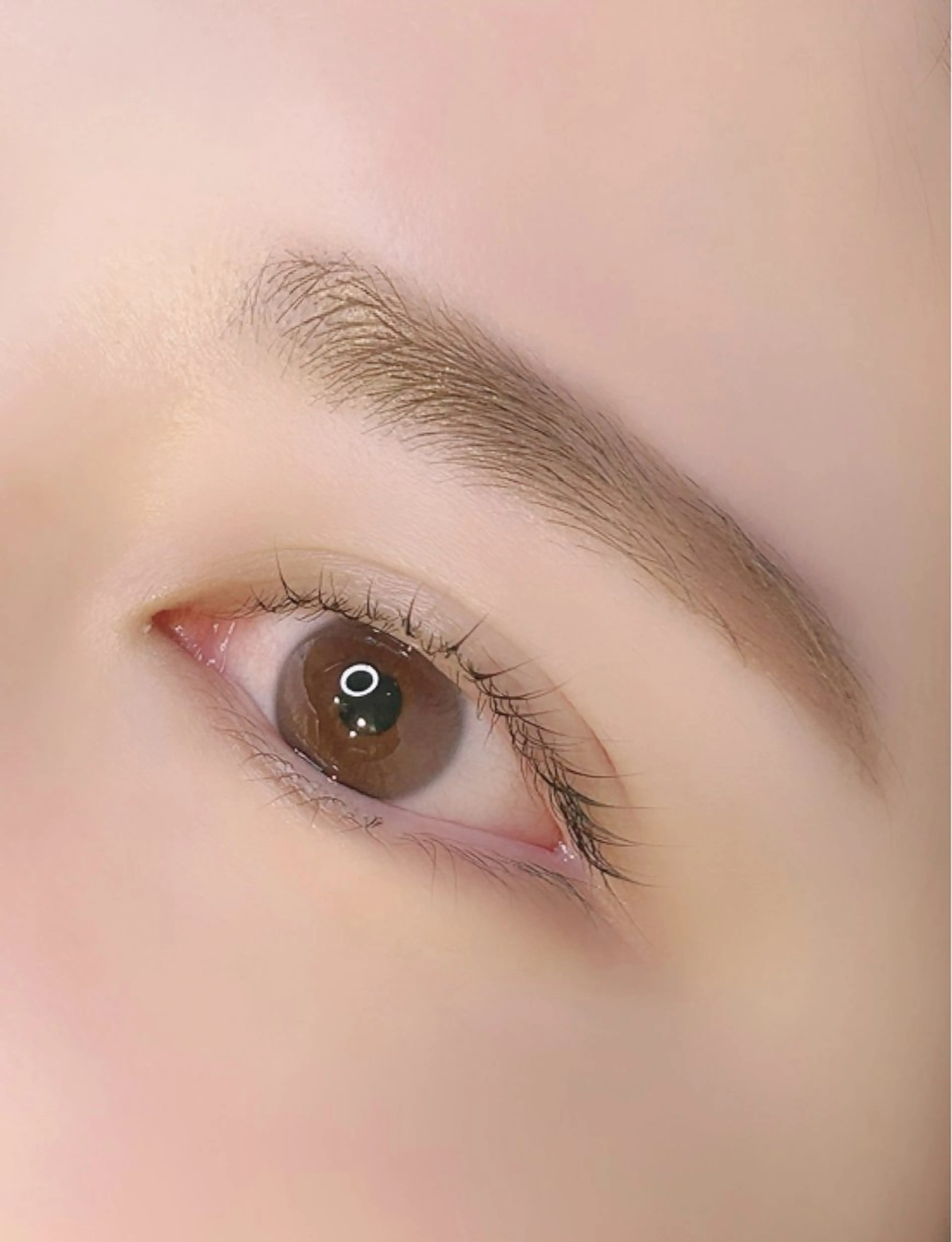 アイブロウ 眉毛ワックス脱毛 fors所属・藤 すずの眉毛・アイブロウイメージ