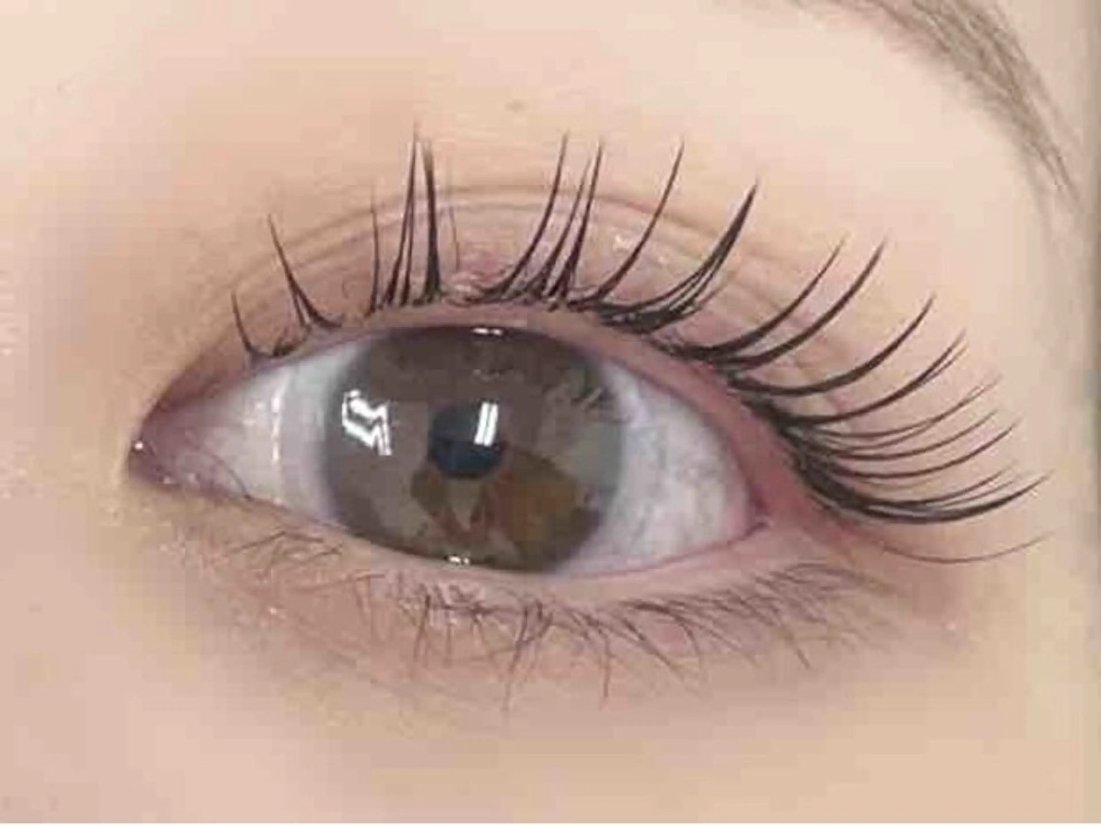 マツエク・マツパ プラスアイ溝口店所属・無料マツエクまつパ RENA🩷🦋のマツエク・マツパデザイン