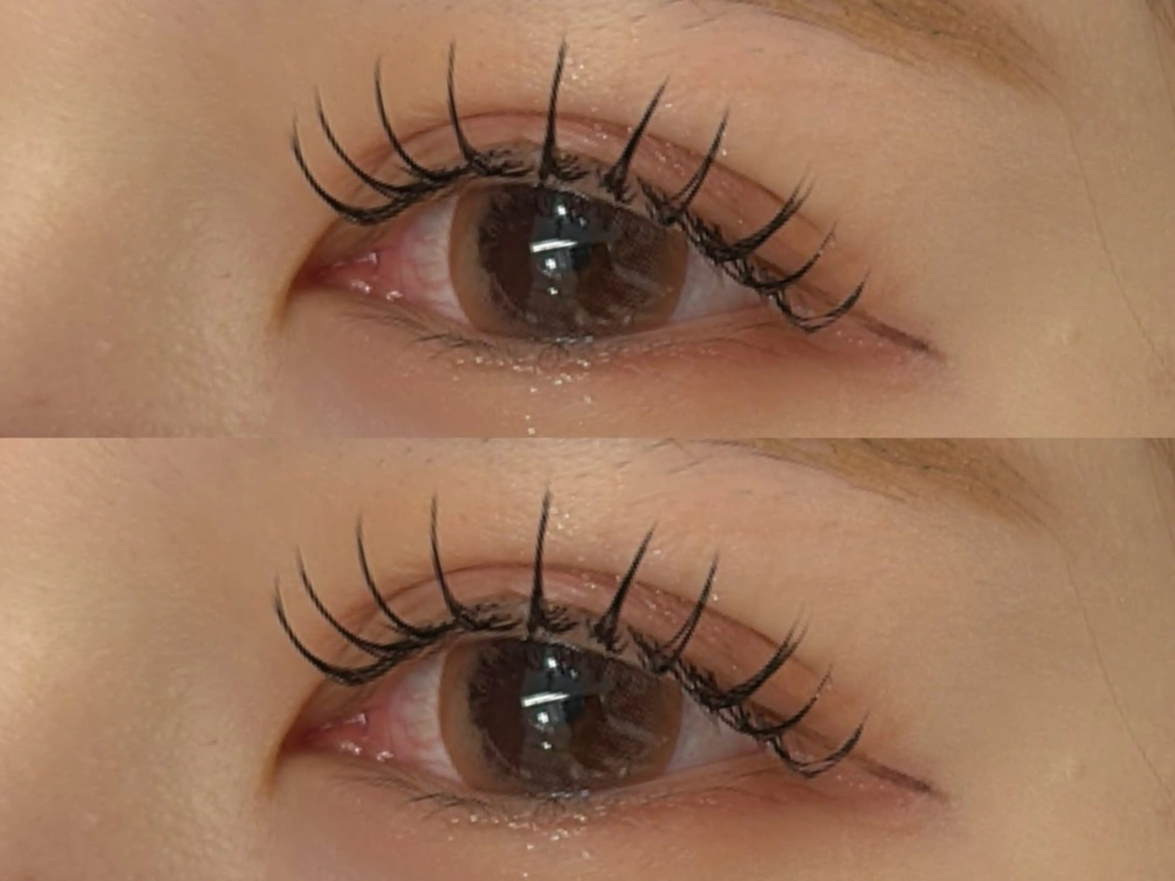 【お得★】フラットラッシュ120本まで🦊の写真