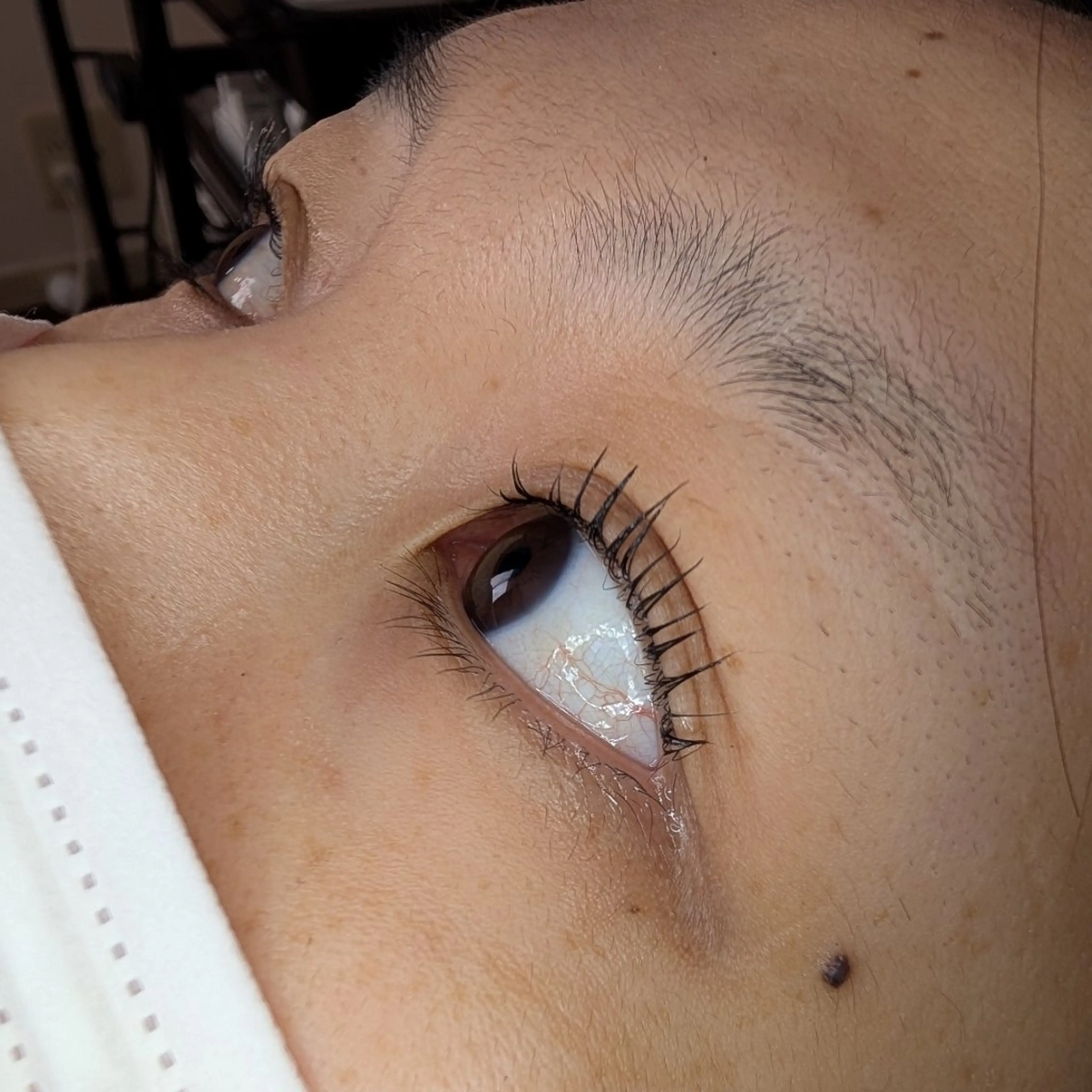 マツエク・マツパ マツパ EYELASH lino　合志市のマツエク・マツパデザイン