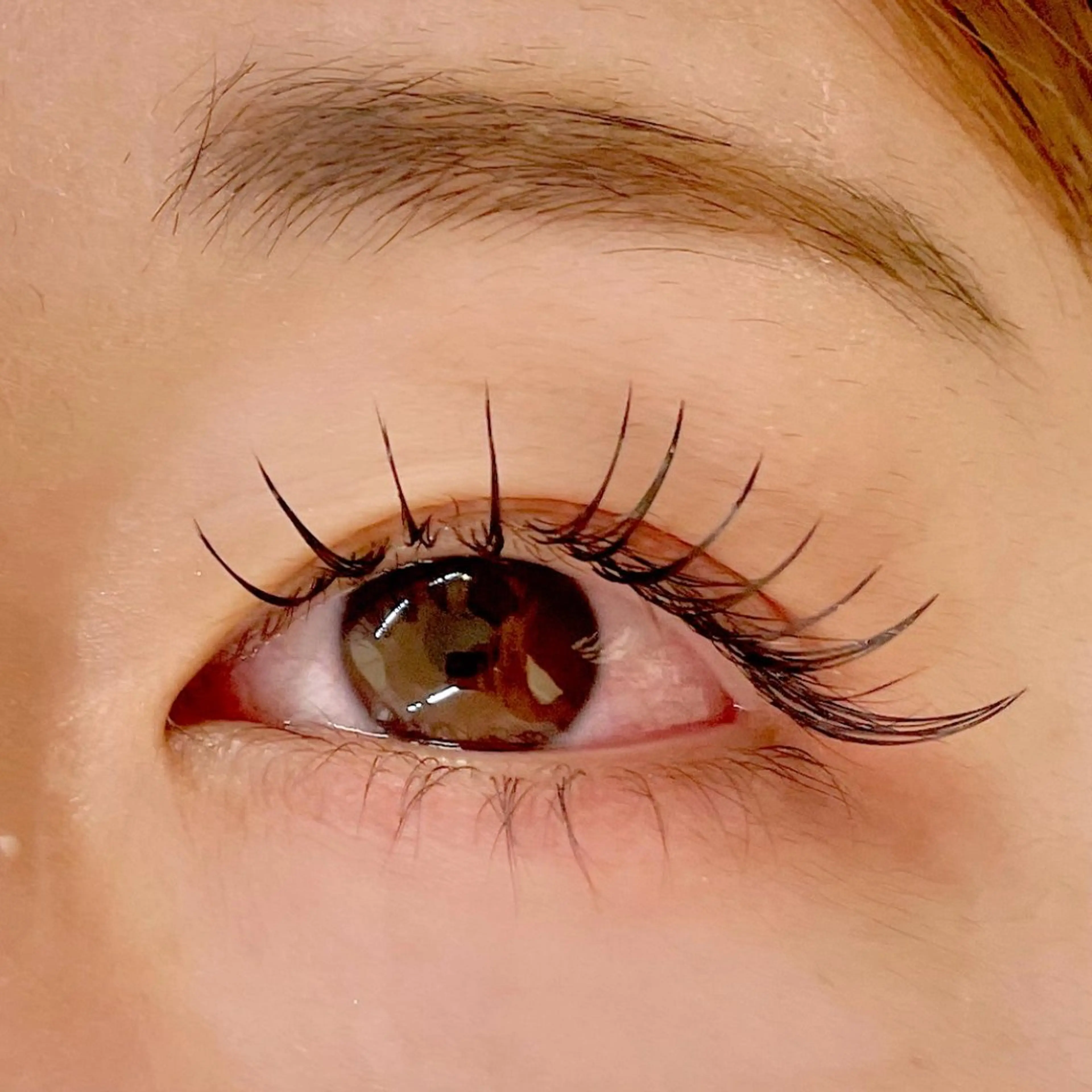 マツエク・マツパ マツエク ayumi/似合わせ トレンド/束間🪽の眉毛・アイブロウイメージ