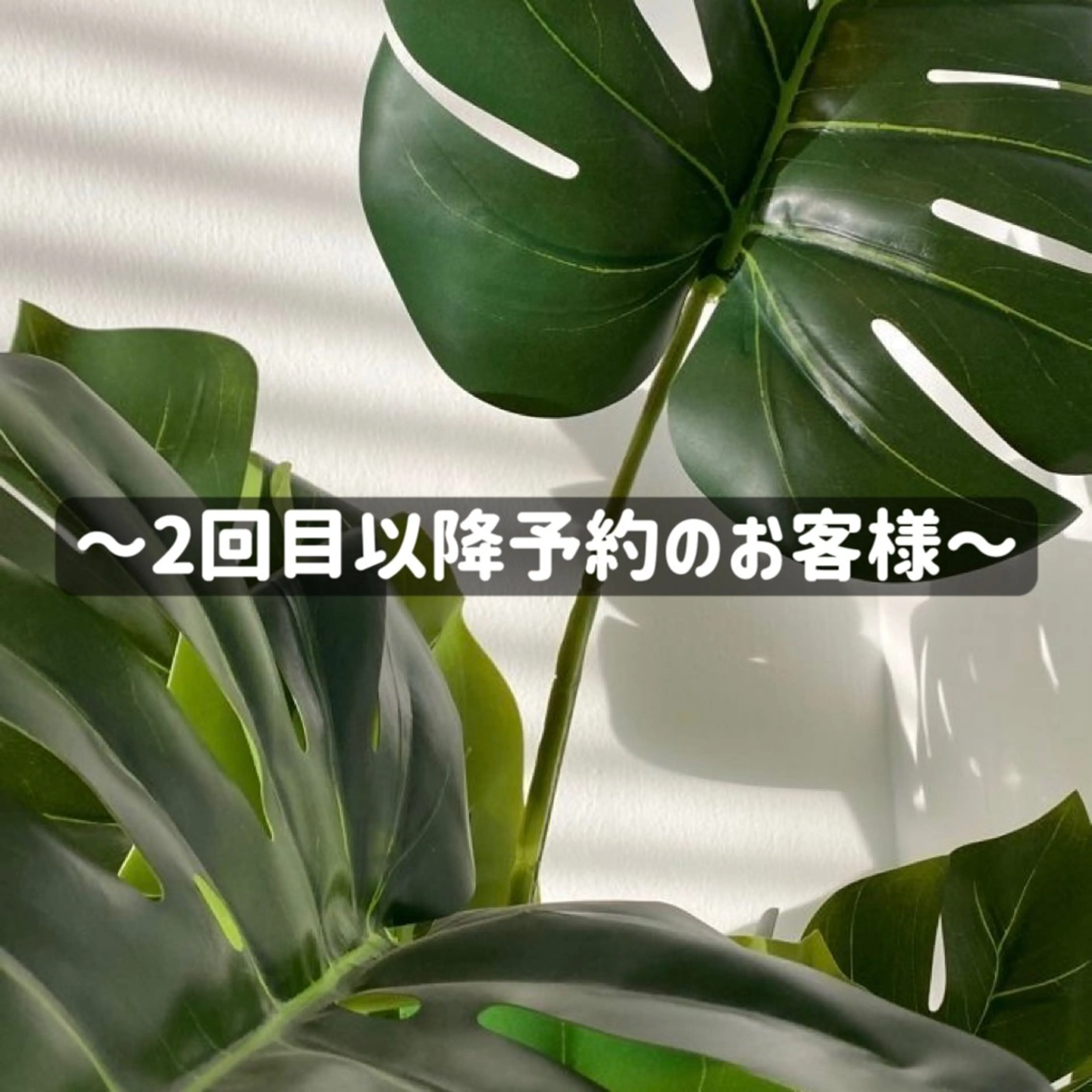 ✨️小顔カット/ 艶カラー/髪質改善✨のヘアスタイル