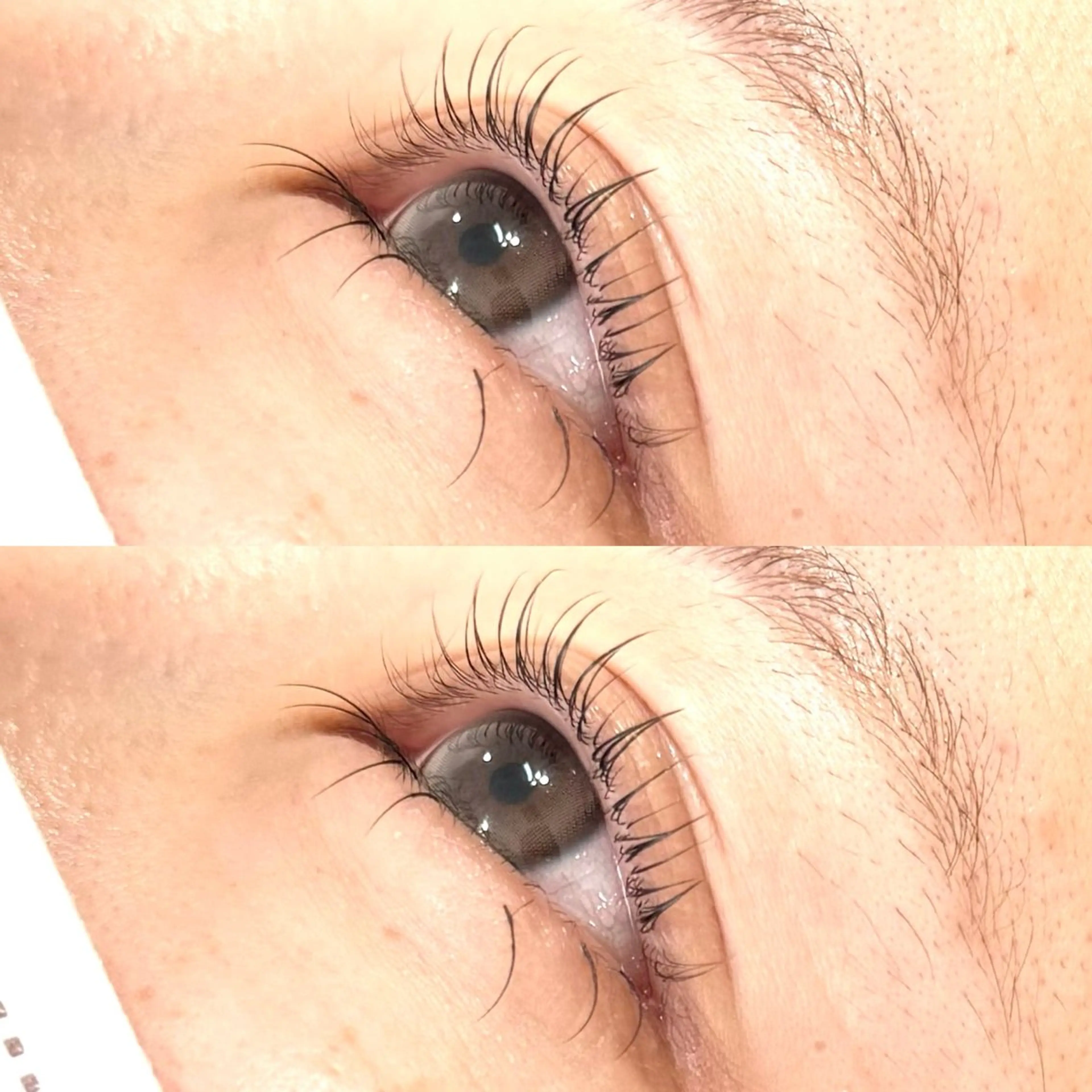 マツエク・マツパ まつげ兼任しもさこ 🌟レイヤー得意のヘアスタイル