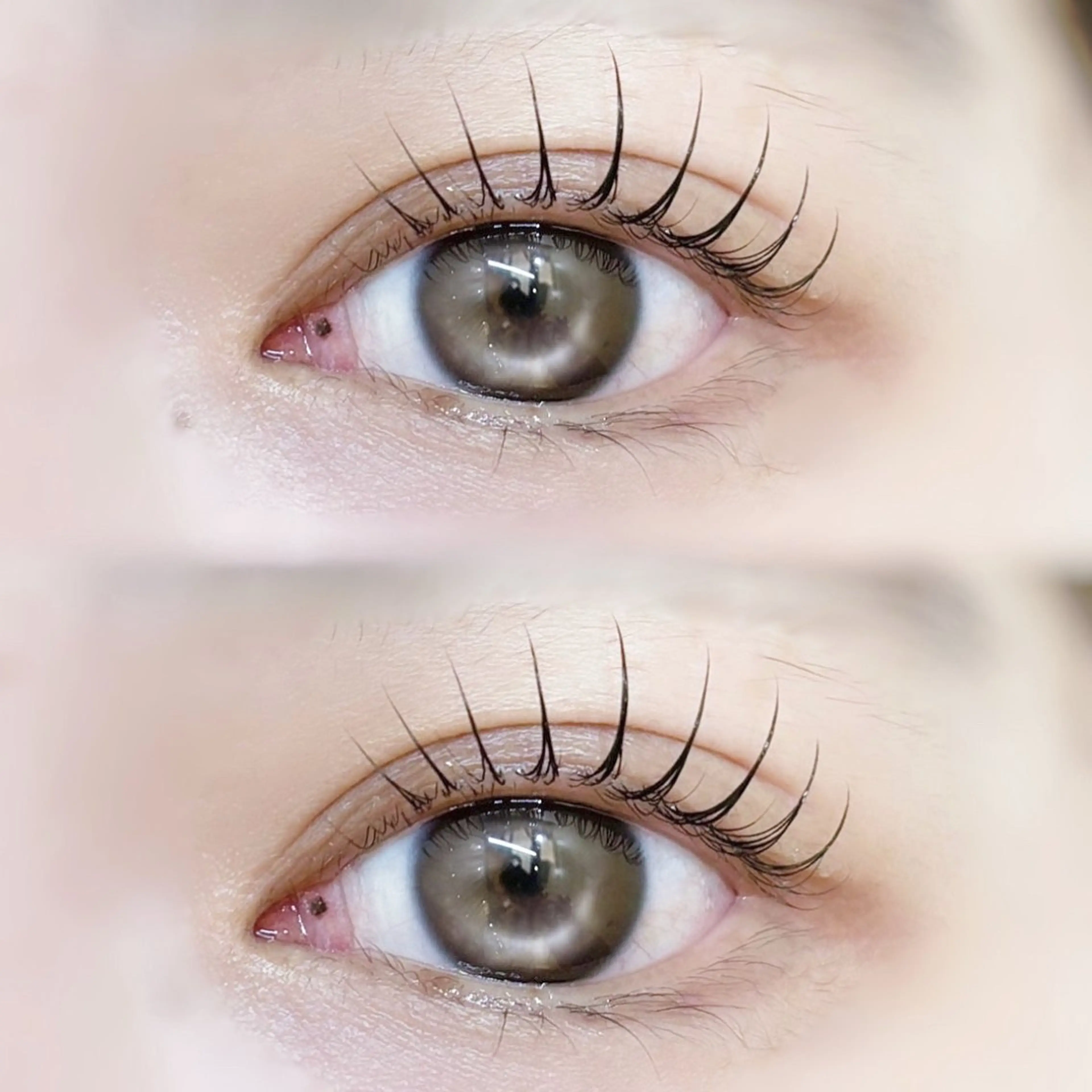 🎀ラッシュリフトorパリジェンヌ🎀の写真