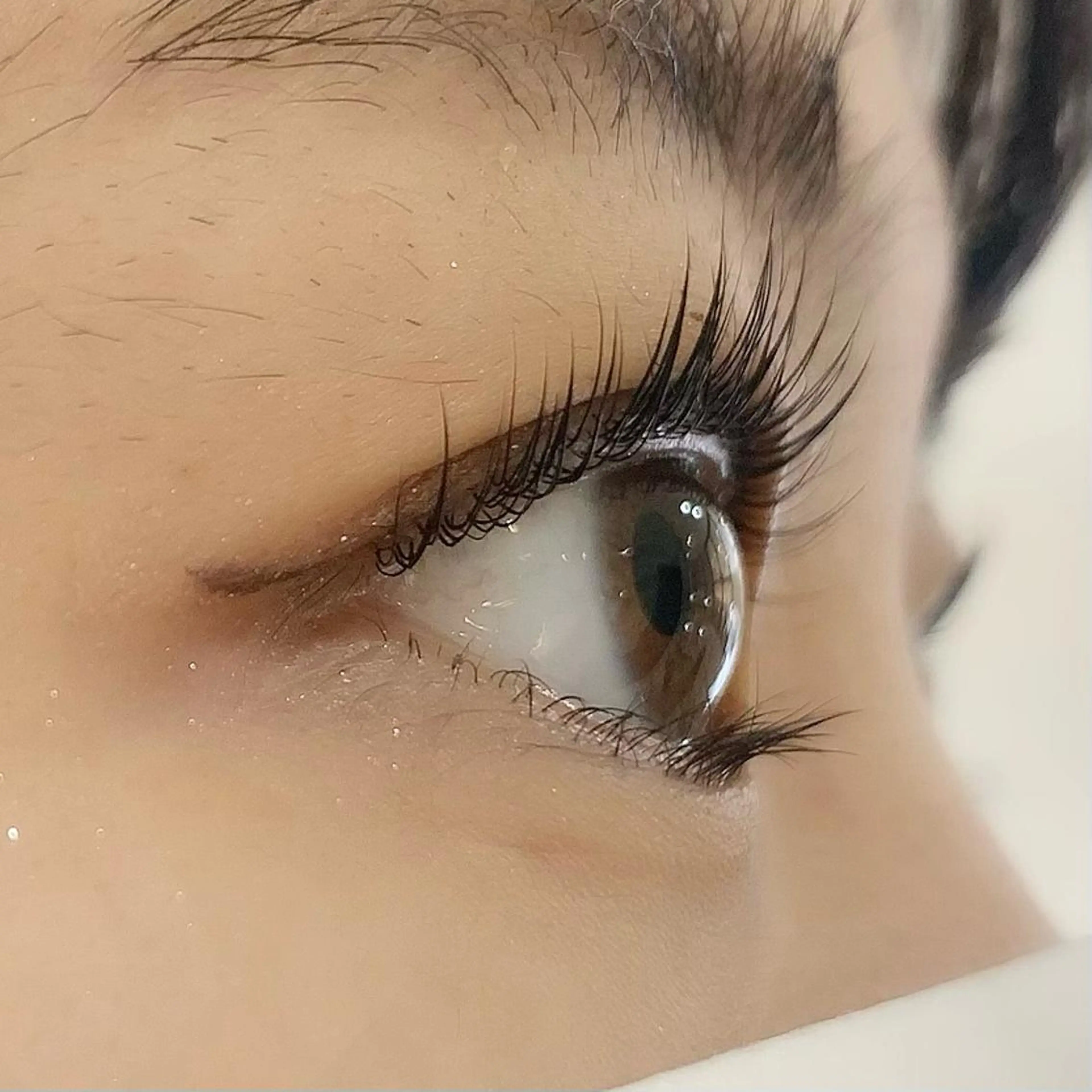 マツエク・マツパ パリジェンヌラッシュリフト Celeste Venus所属・🧸Celeste Venusのマツエク・マツパデザイン