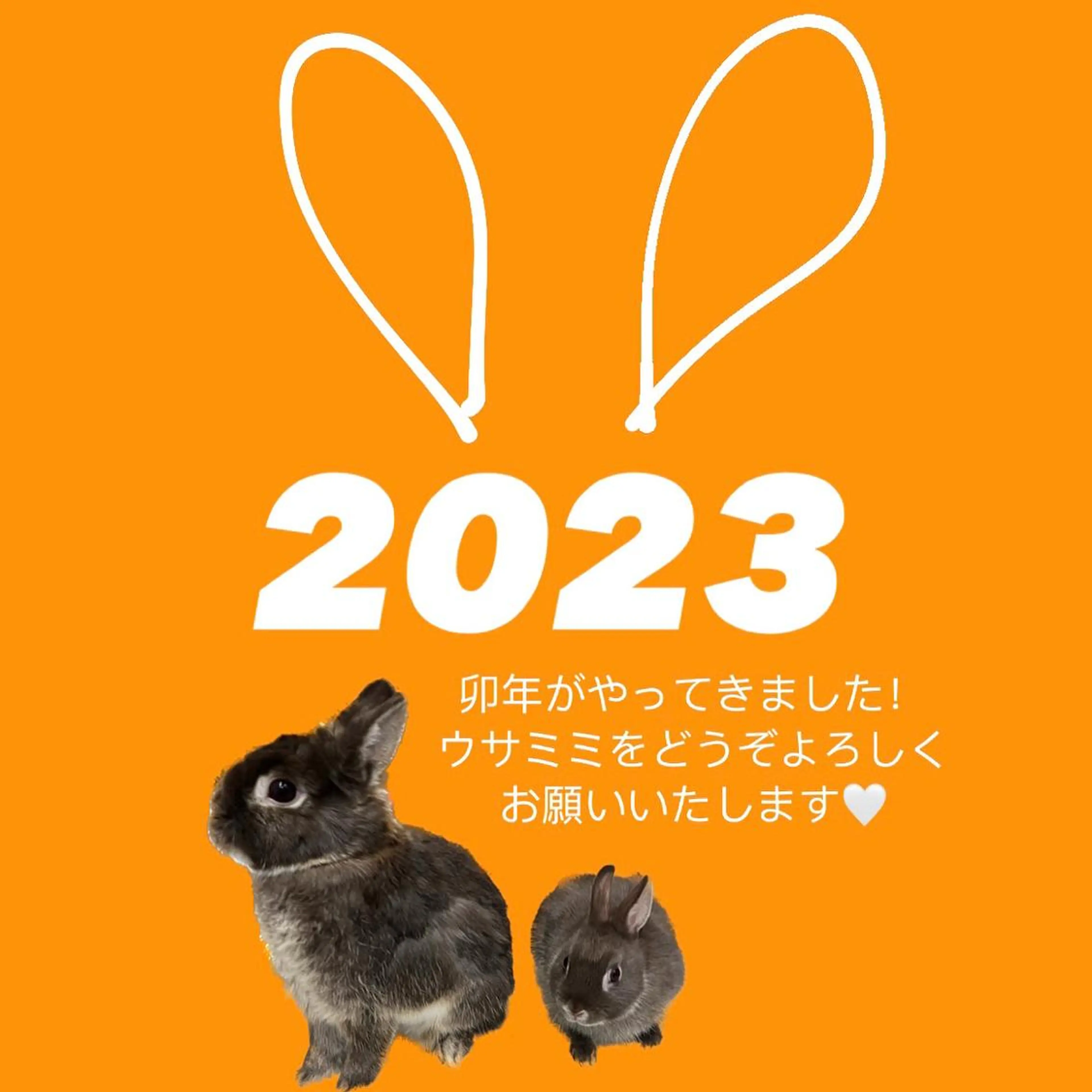 ネイル 成人式 フットネイル ジェルネイル マグネットネイル 持ち込み 本町ネイルNail UsaMimiのネイルデザイン