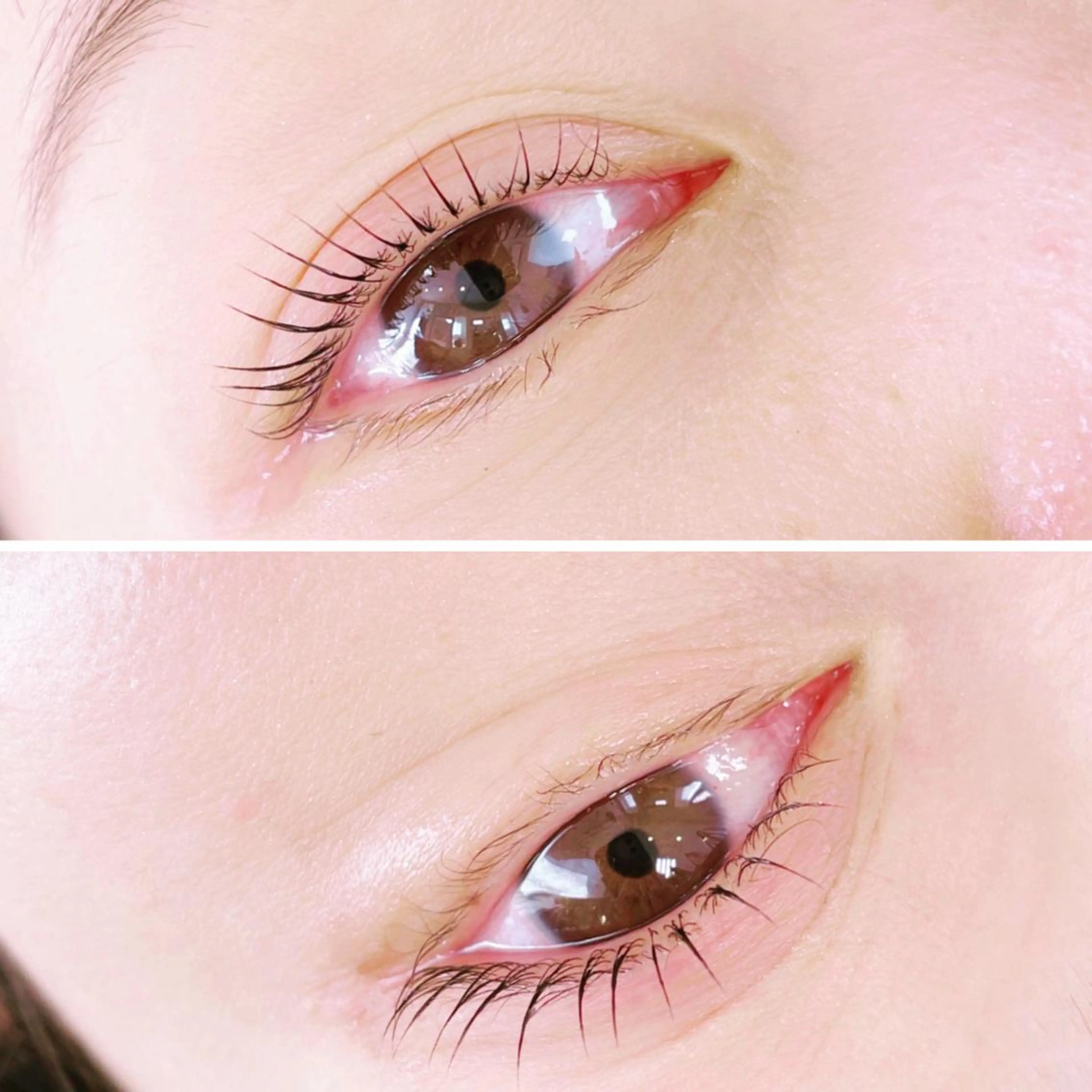 マツエク・マツパ 束感まつ毛 韓国風マツエク 韓国ラッシュリフト monica 富士宮の眉毛・アイブロウイメージ