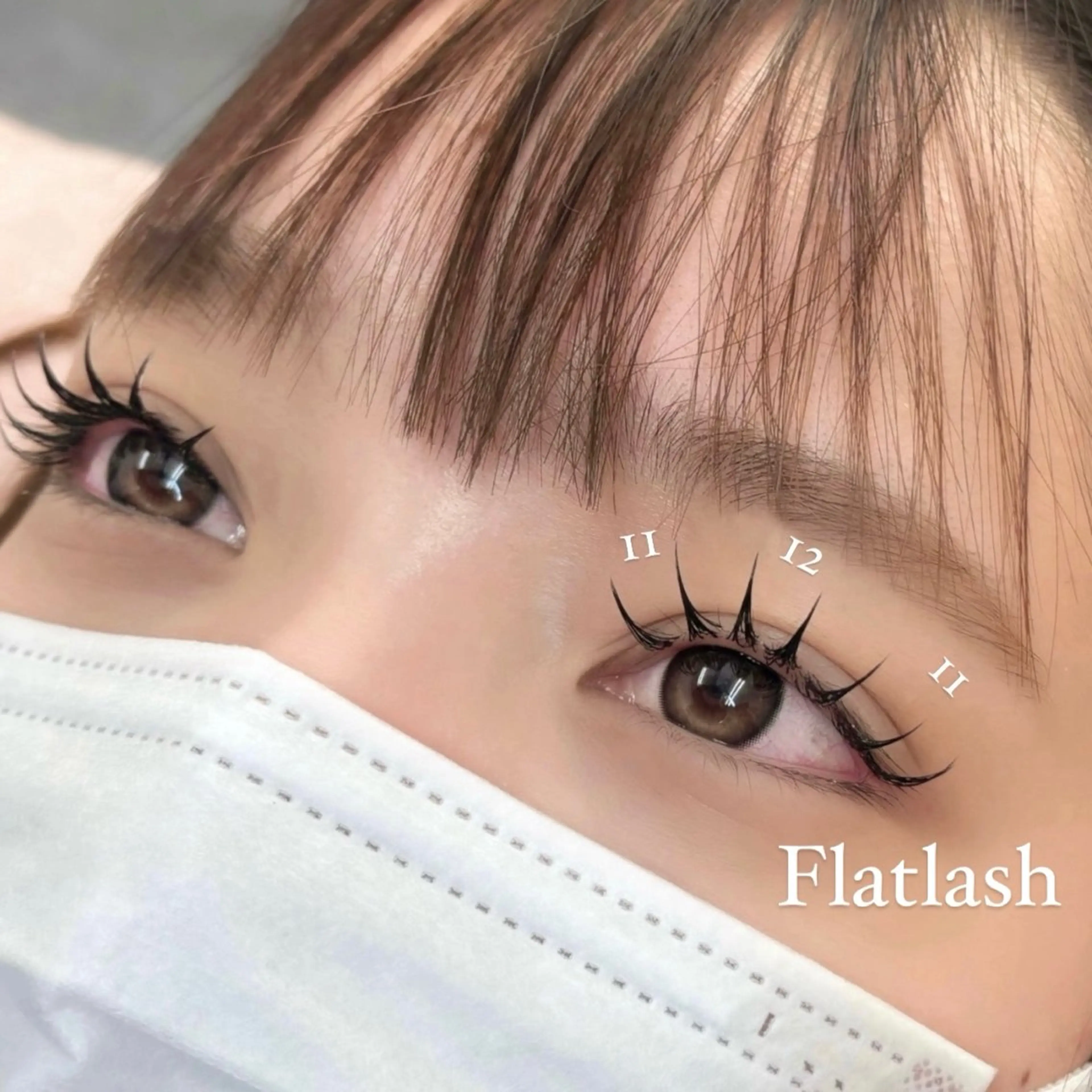 ＊フラットラッシュ＊100本の写真