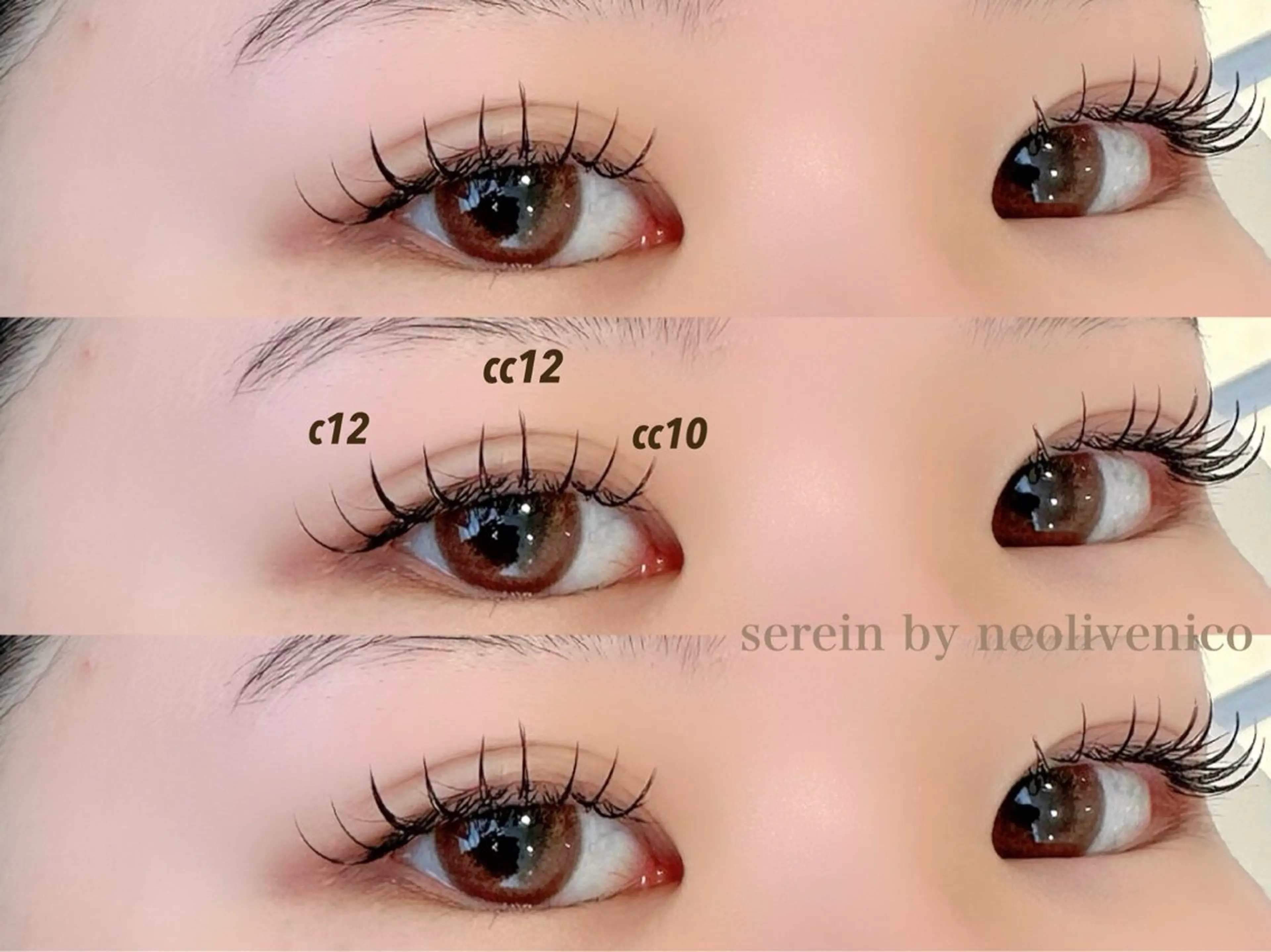 ᡣ𐭩 ྀིྀ今流行りの束感まつ毛ᡣ𐭩 ྀིྀ🦖フラットラッシュ 120本+お持ち帰りコーティング剤付🦖の写真