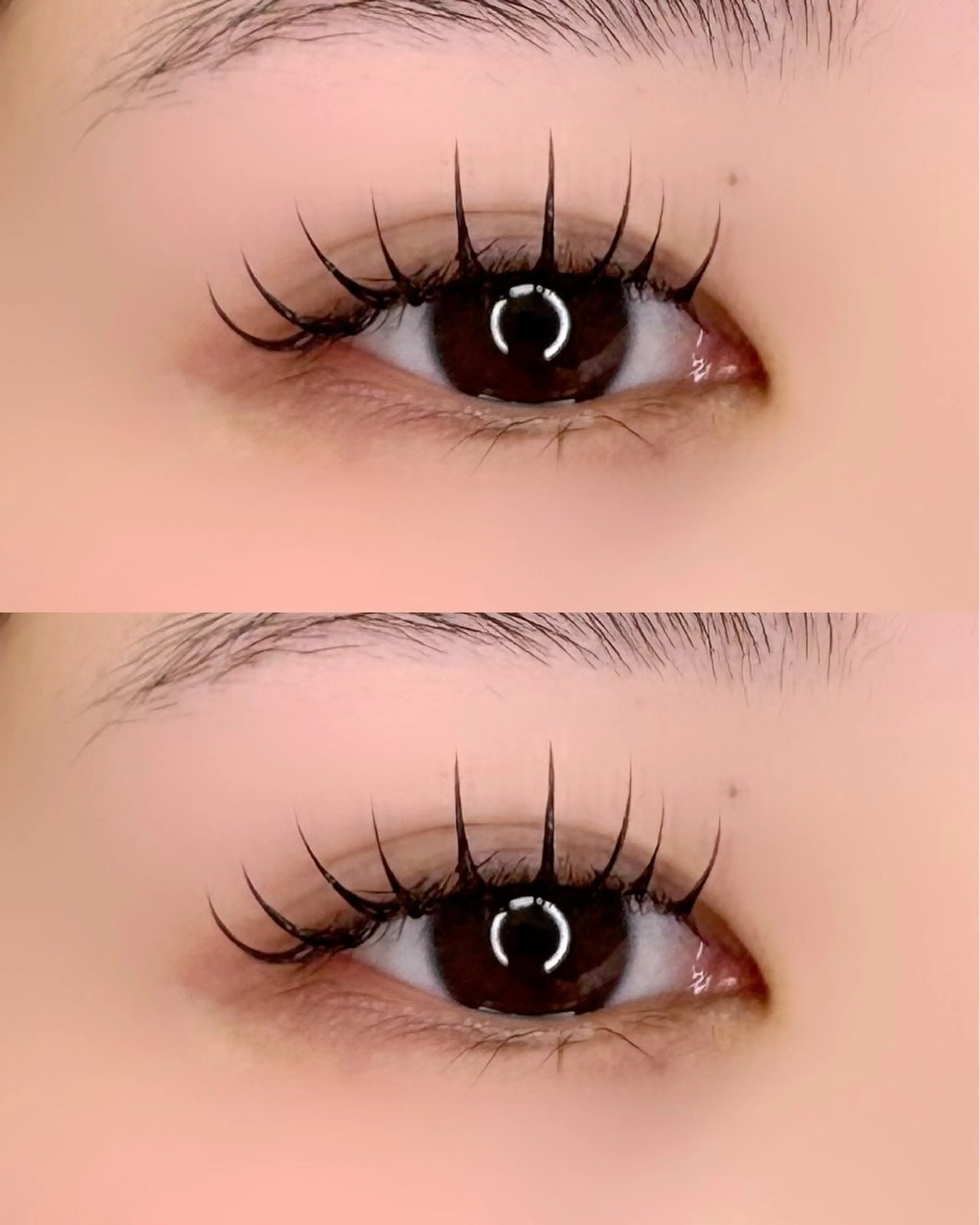 💡【LEDエクステ】フラットラッシュ120本《オフ無料》 💡の写真