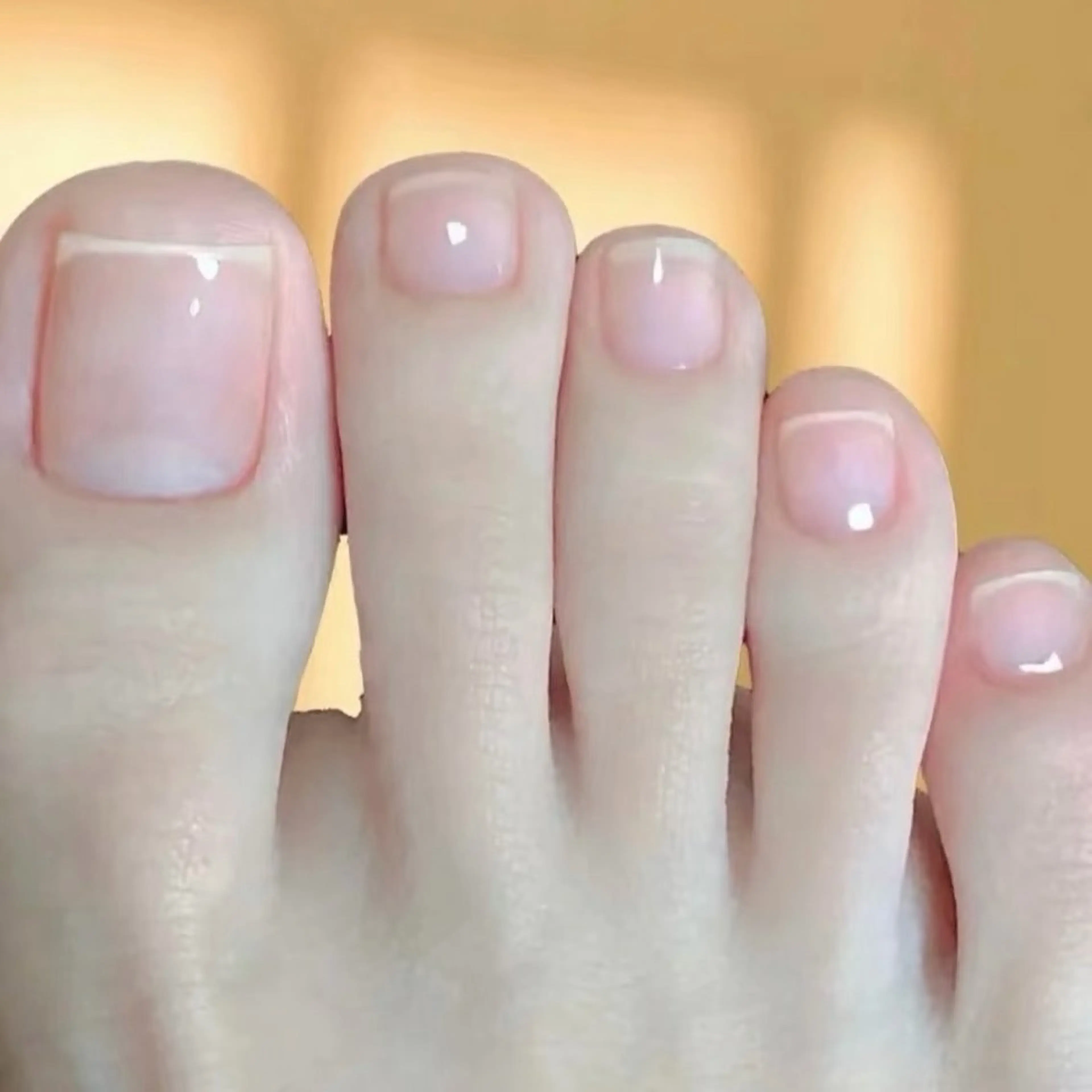 フットオフのみの写真