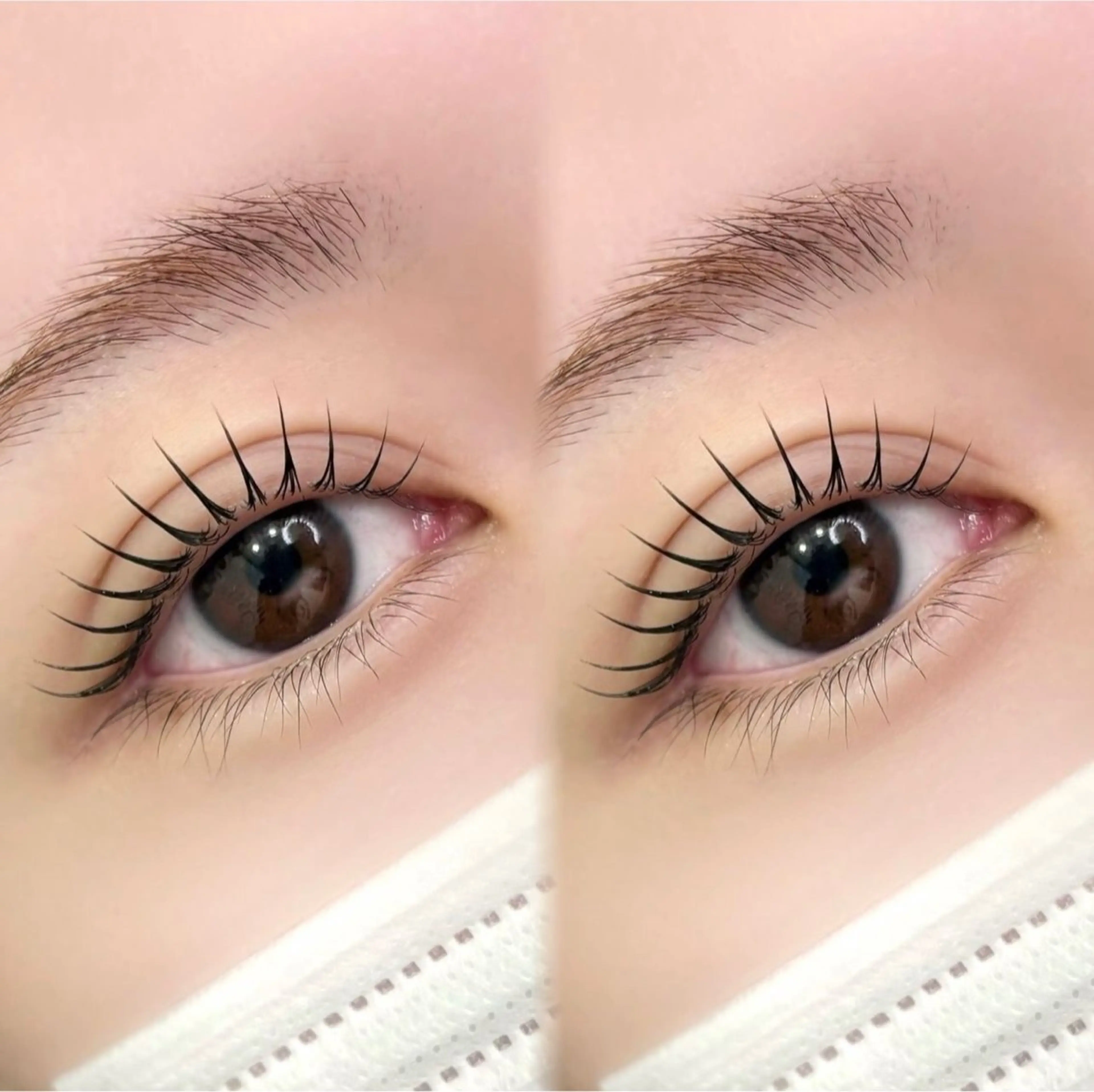 人気No1🌟韓国風ワンホン束感まつげパーマ上🌟コラーゲンアイパック付💗コーティング美容液付💗の写真