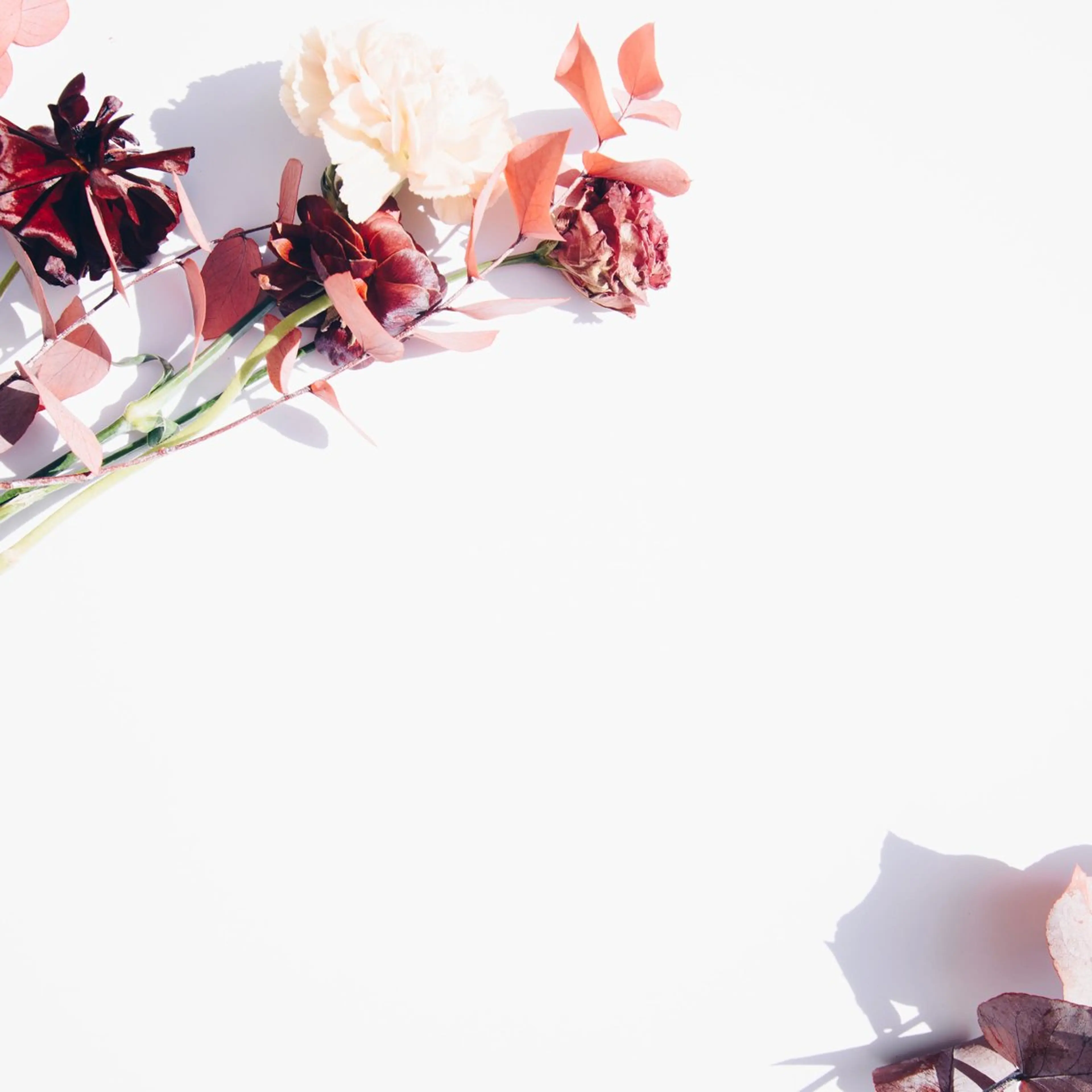 TIÁM eyelashのマツエク・マツパデザイン