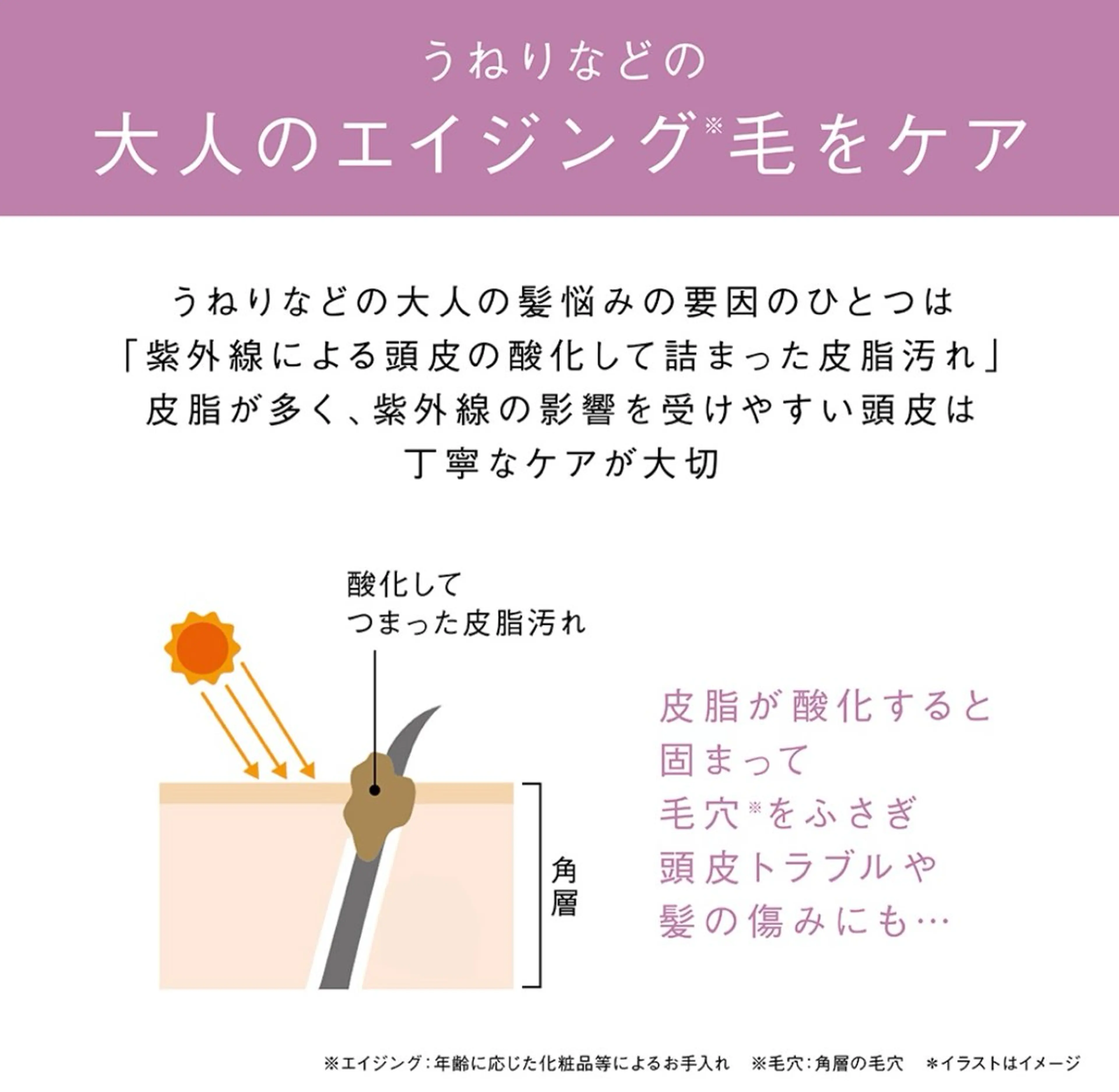 POLA四軒家店 杉山のエステ・リラクイメージ