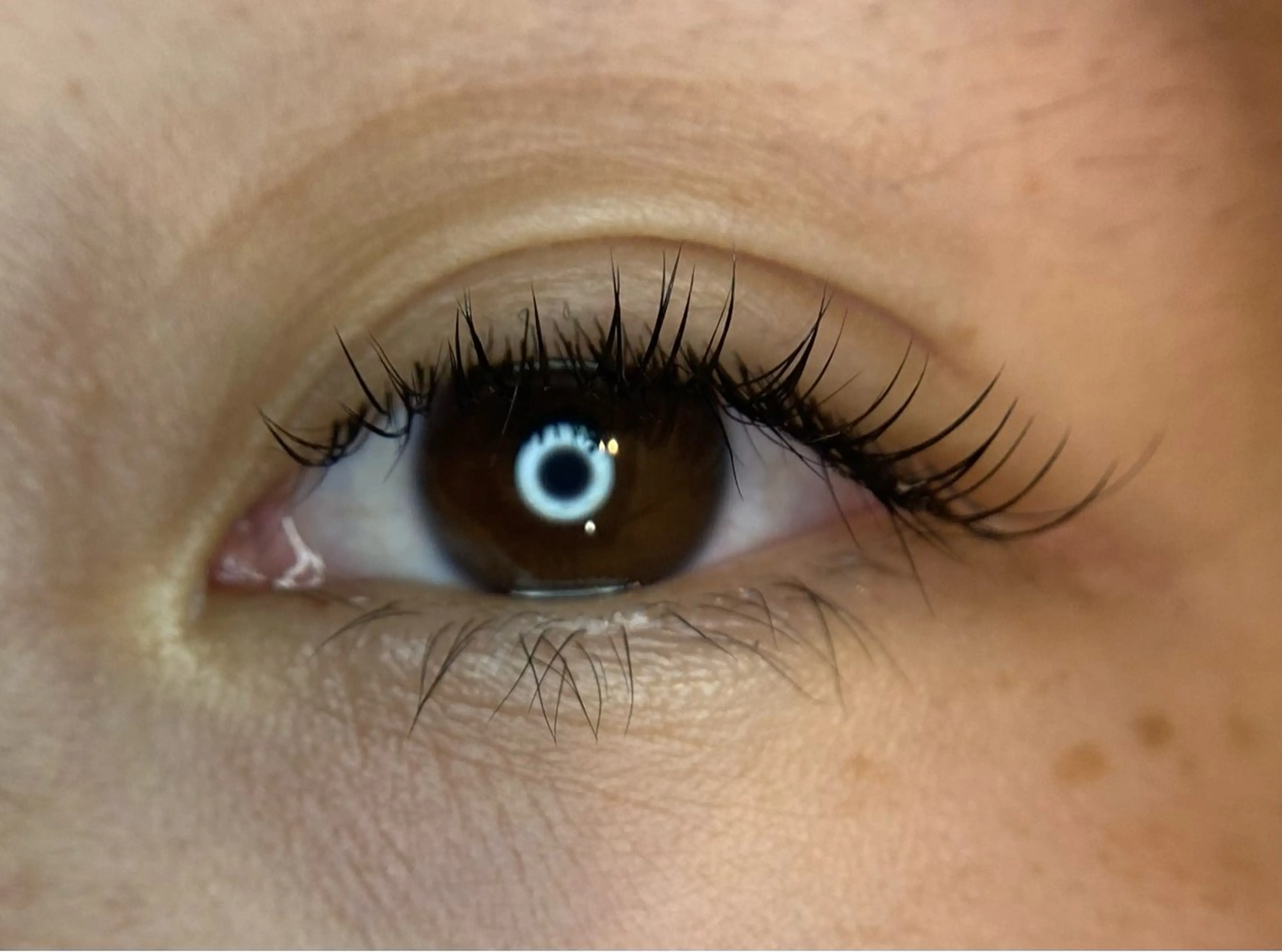 マツエク・マツパ Luana+ Kishiのマツエク・マツパデザイン