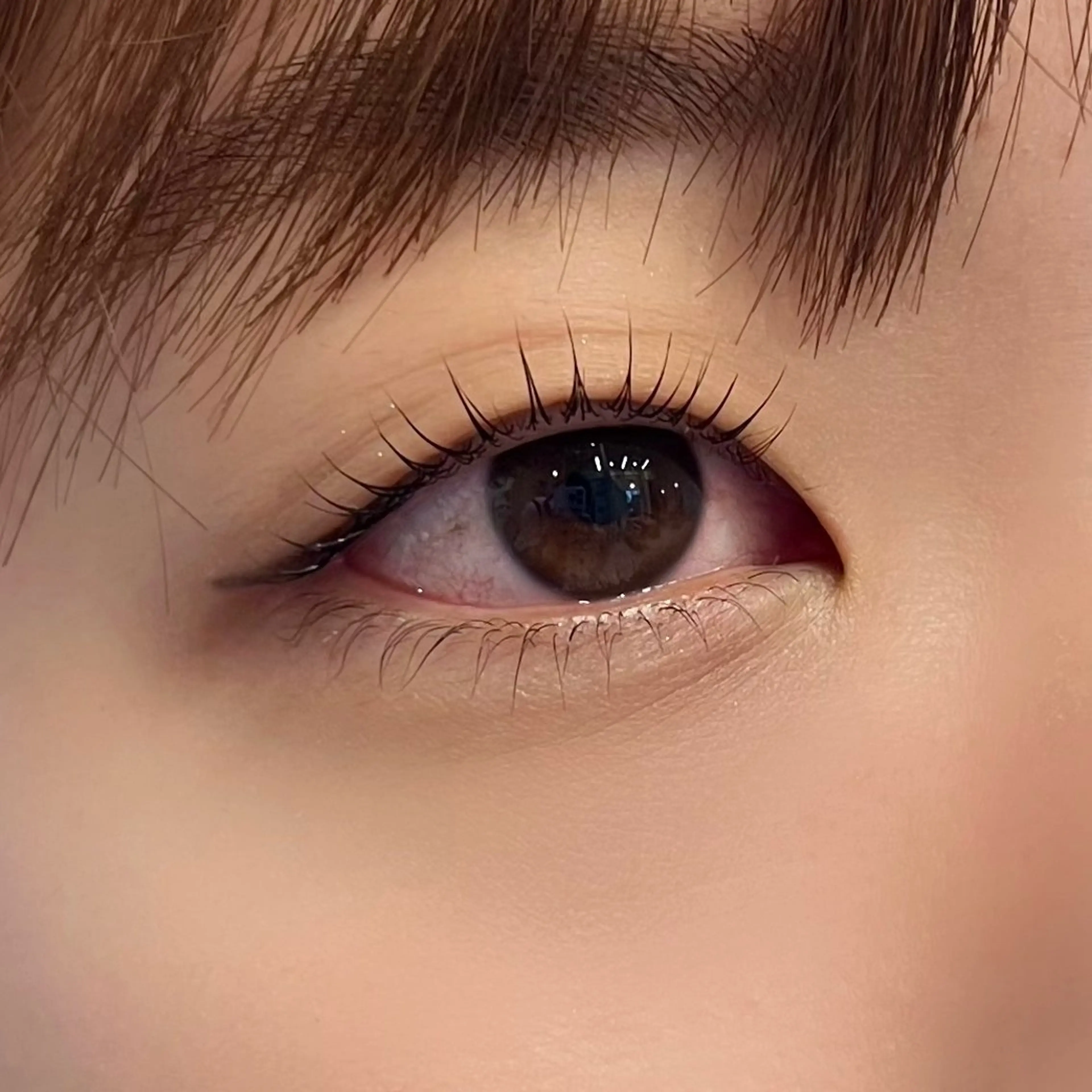 まつ毛パーマ【上下】/束間コーティング仕上げ/エクステオフなし/アイシャンプー・トリートメント付き!の写真